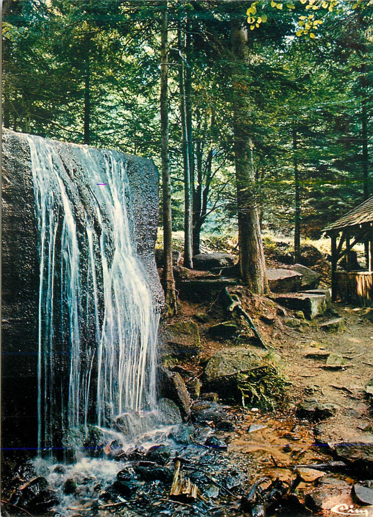 CPM Vosges Touristiques La Cascade des Molieres 