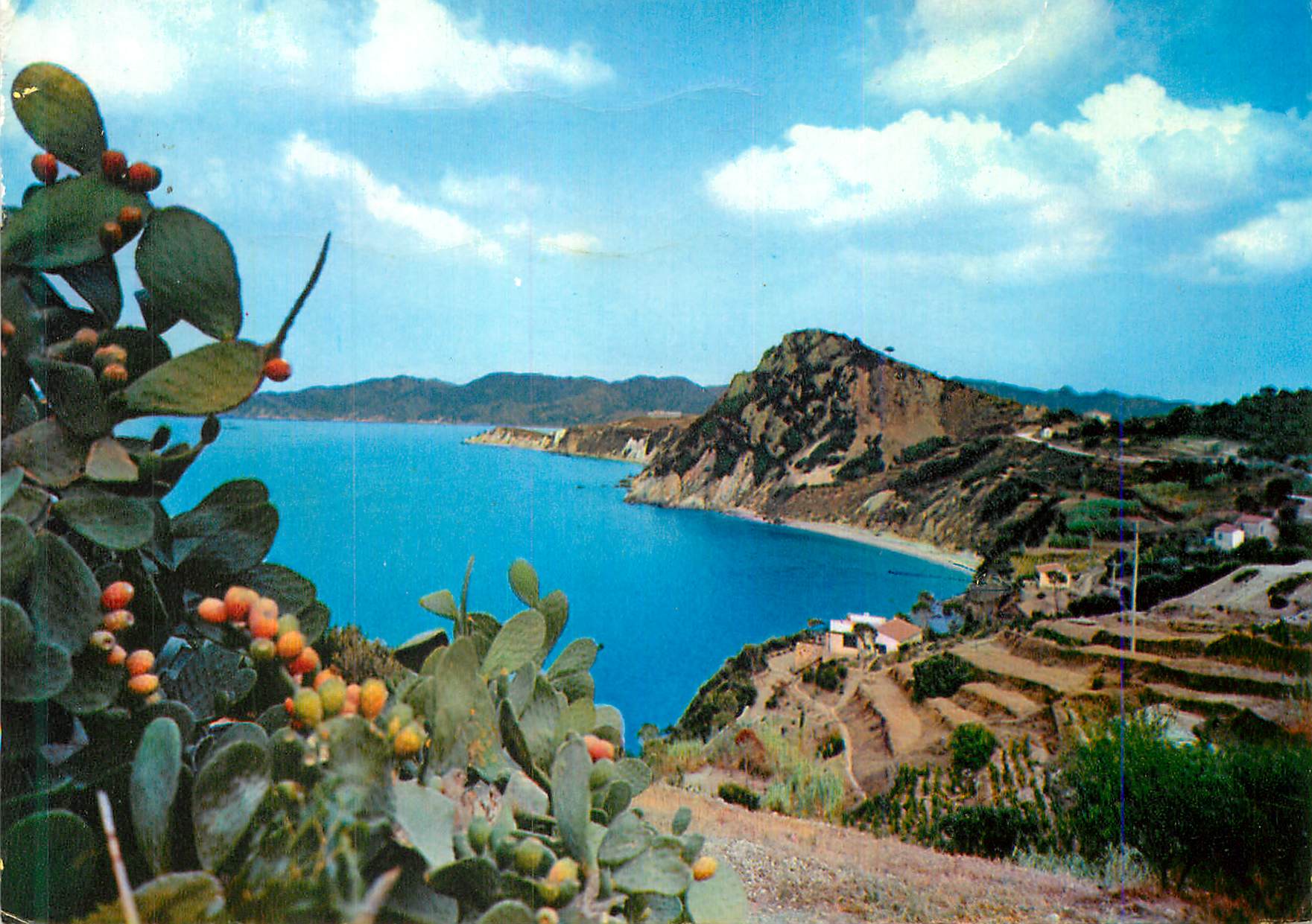 CPM Isola d Elba Posroferraio Les Prunini et le Capobianco 