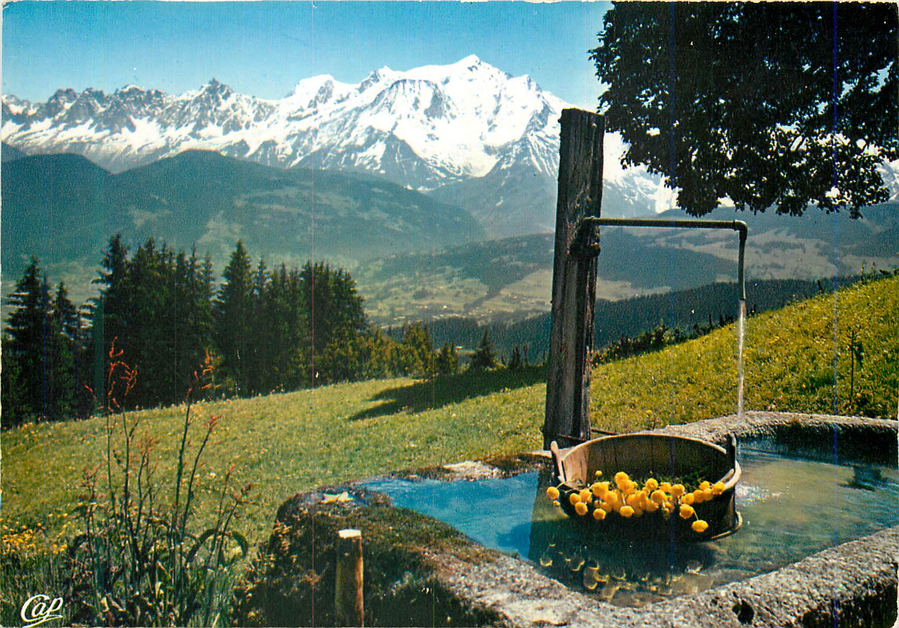 CPA Au pays du Mont Blanc Panorama sur le Massif depuis Cordon