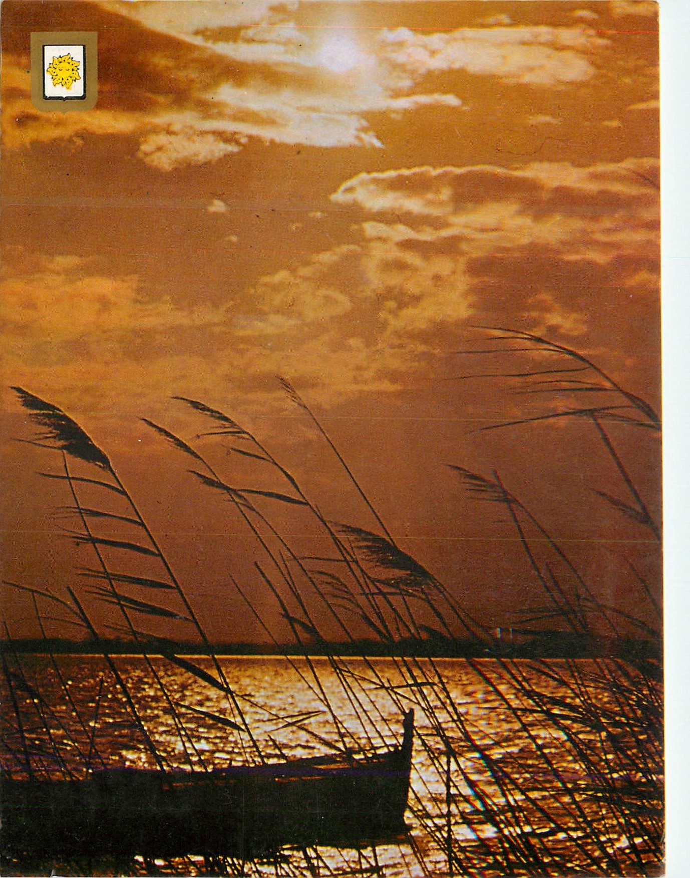 CPM Coucher de Soleil sur nos Merveilleux Rivages