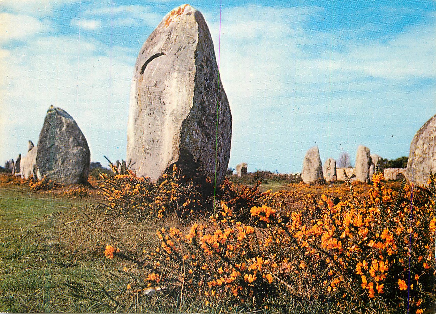 CPM Couleurs de Bretagne Menhirs dans le Lande Fleurie