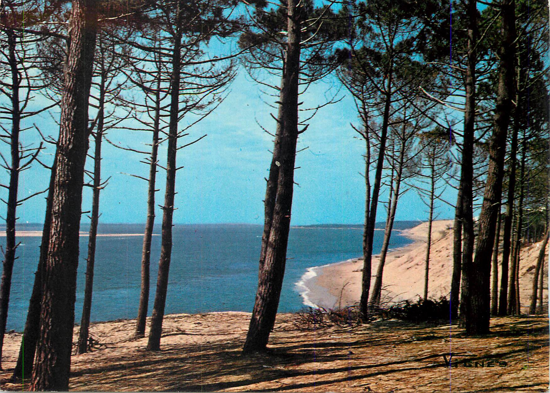 CPM Visage des Landes Bord de Mer