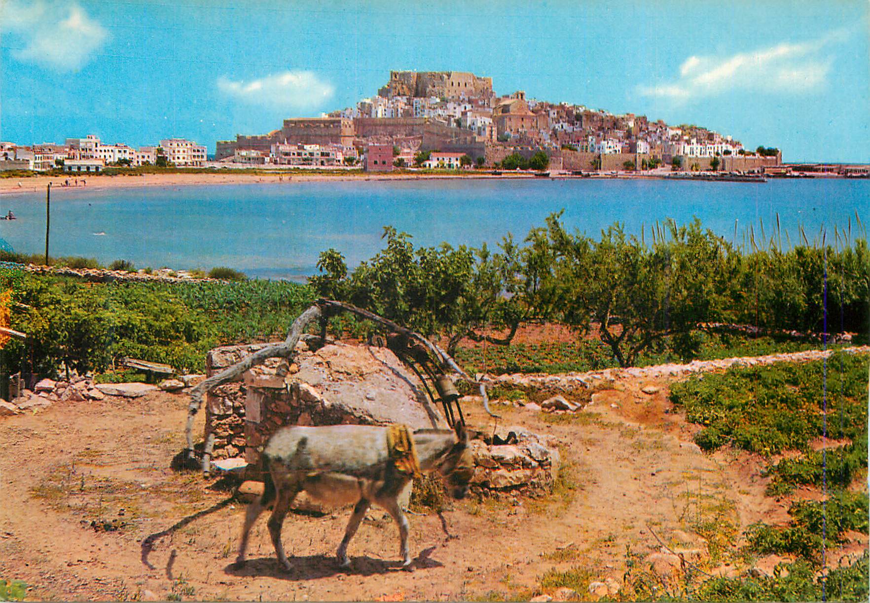 CPM Peniscola La Noria y Vista General