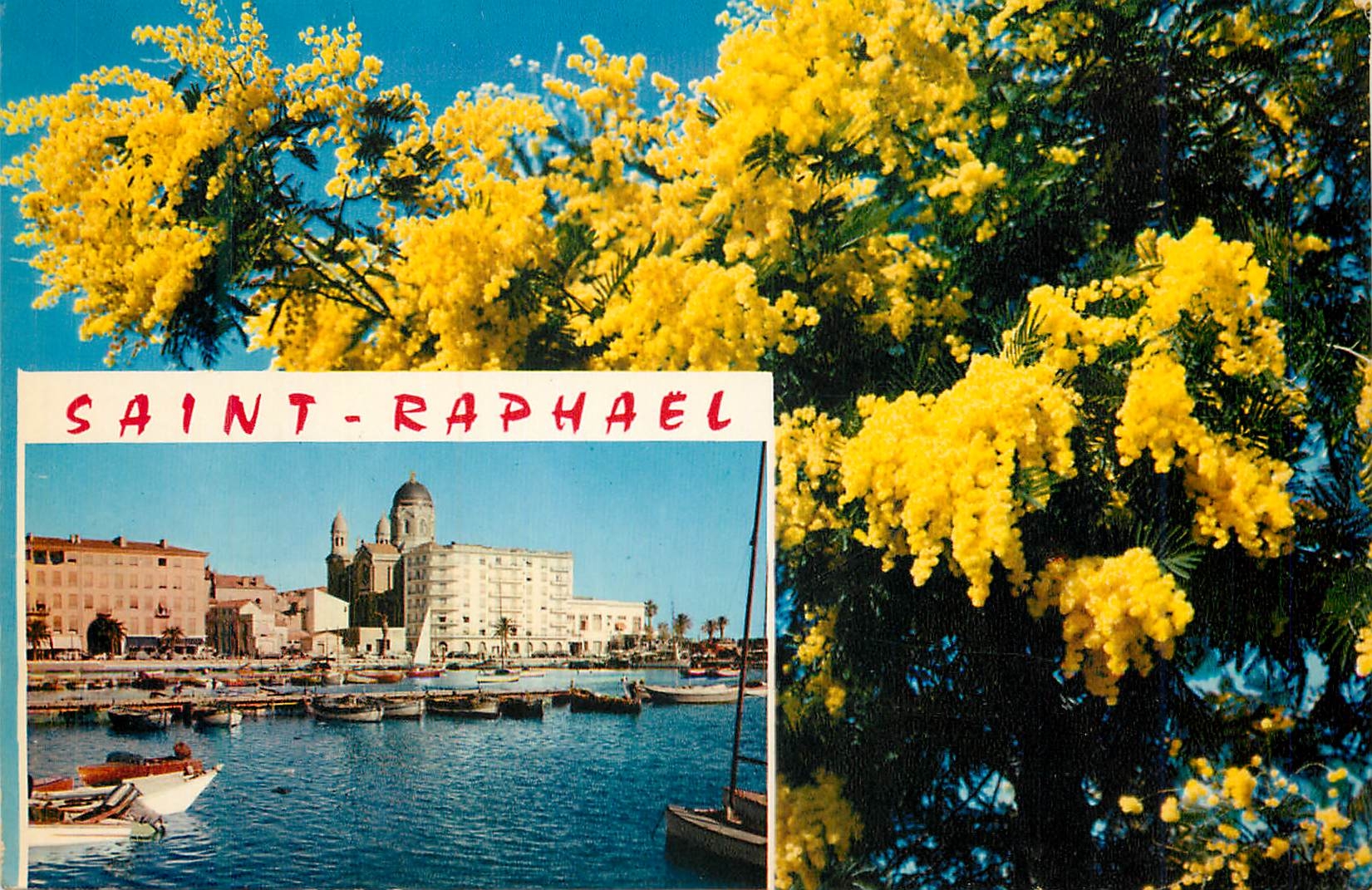 CPM Saint Raphael (Var) La Cote d'Azur French Riviera