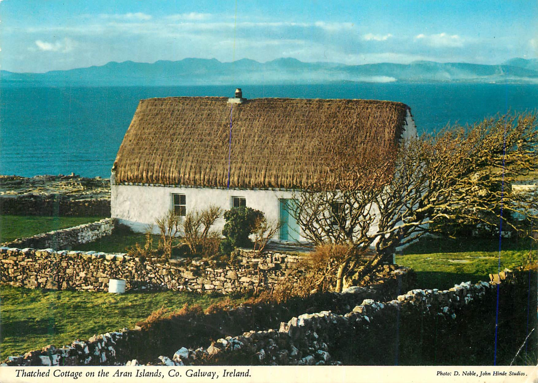 CPM Galway Ireland Thatched Cottage on The Aram Islands Co 
