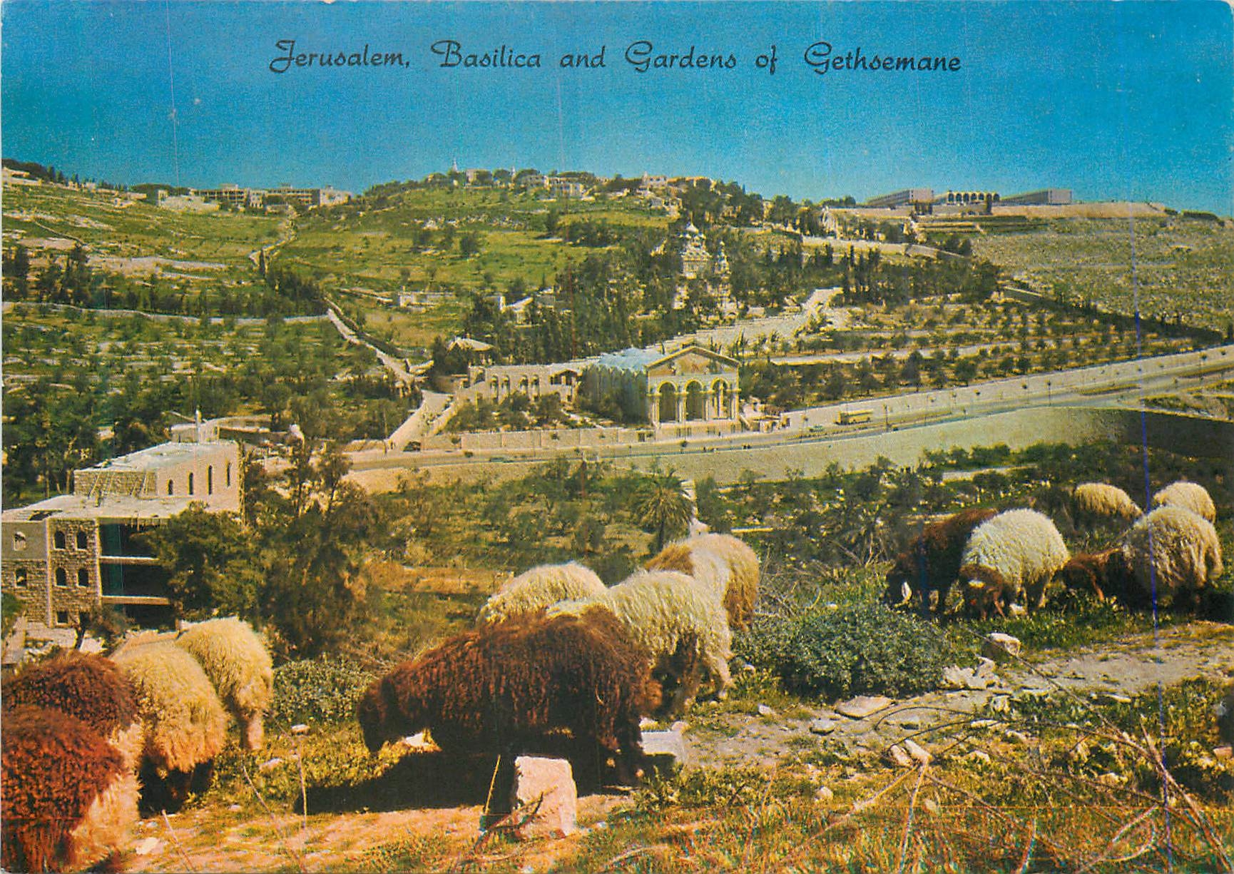 CPM Jerusalem Old City Basilica and Gardens of gethsemane