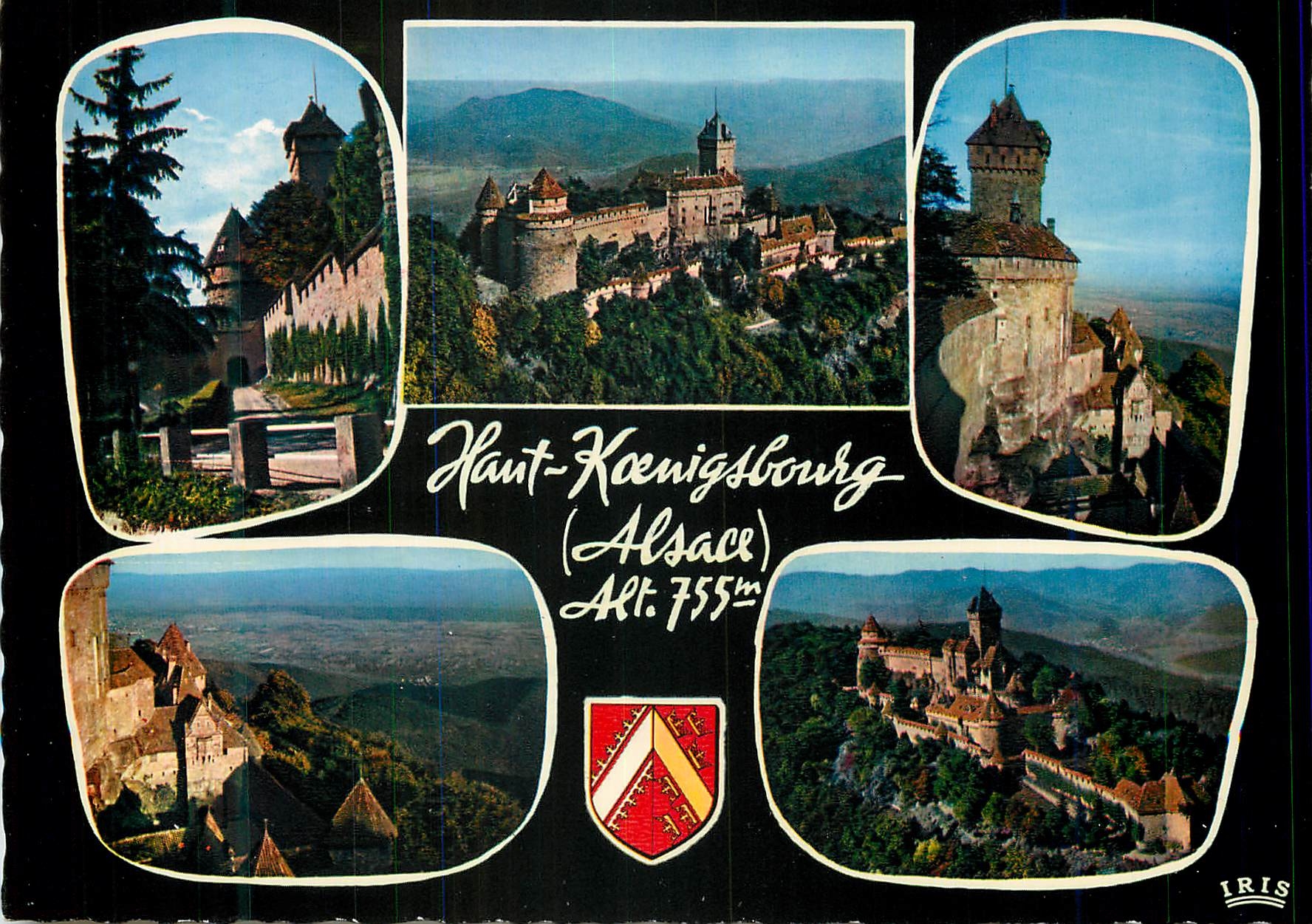CPM Souvenir du haut Koenigsbourg Alsace (Alt 755 m)