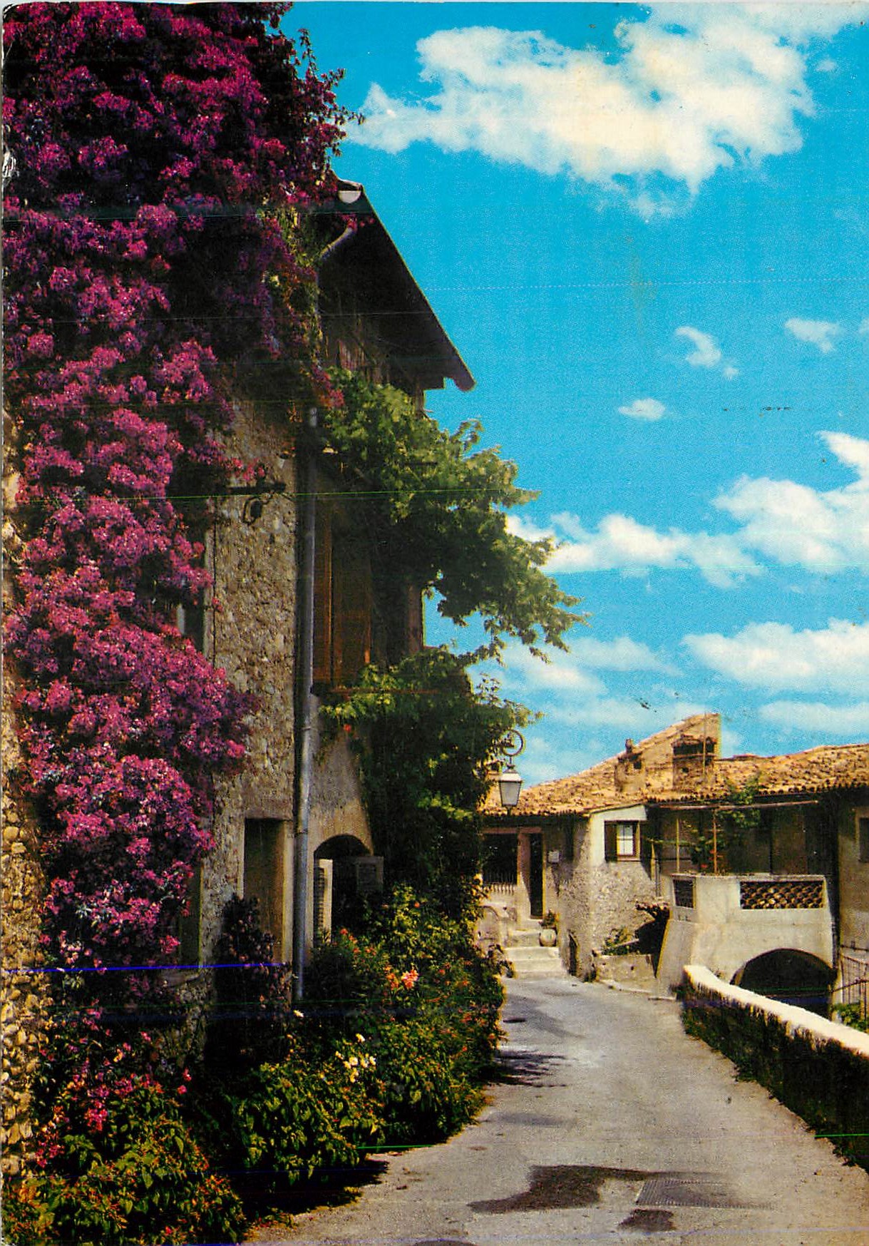 CPM Cote D'Azur Provence Une Vieille Rue Pittoresque et Fleurie