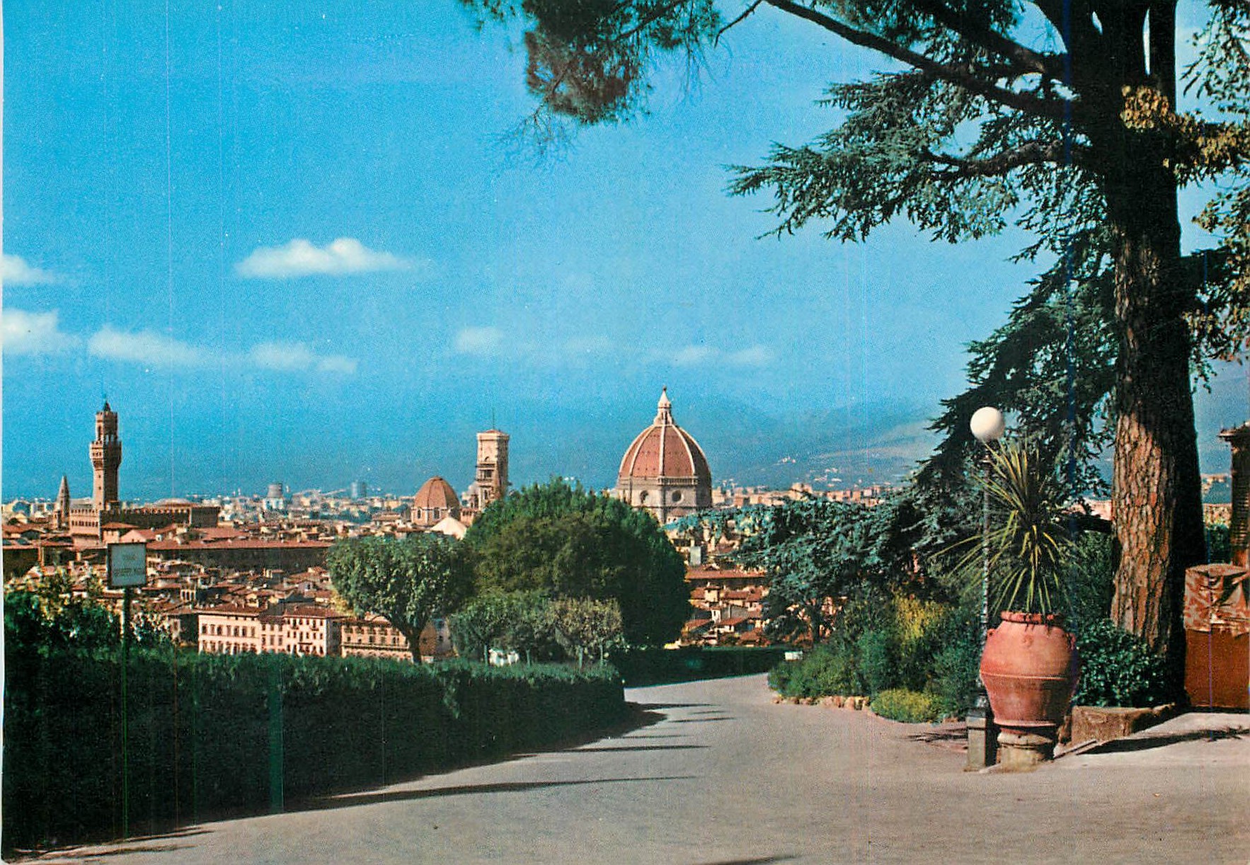 CPM Firenze Une Vue du Viale Del Colli