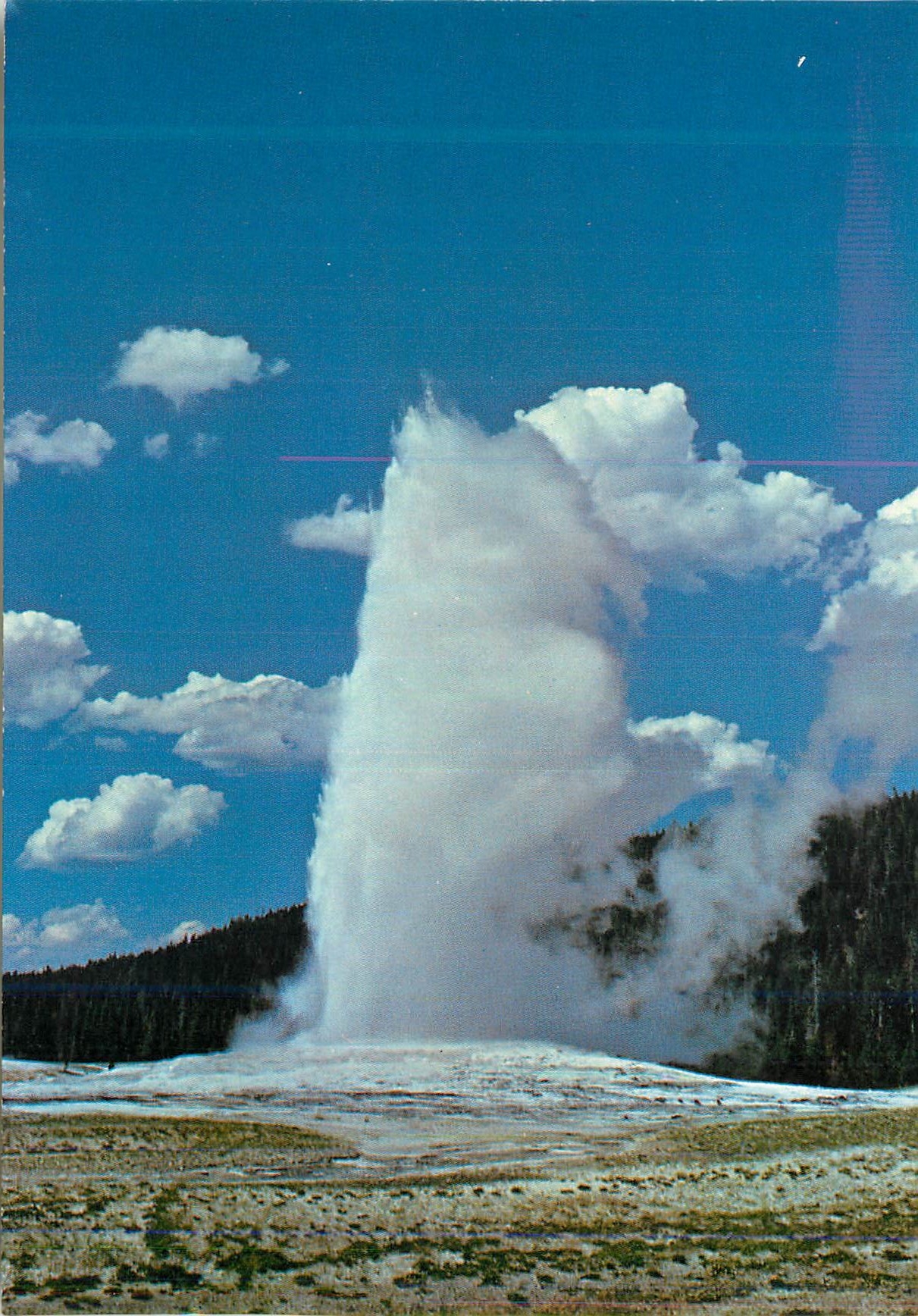 CPM Old Faithful Yellowstone National Park