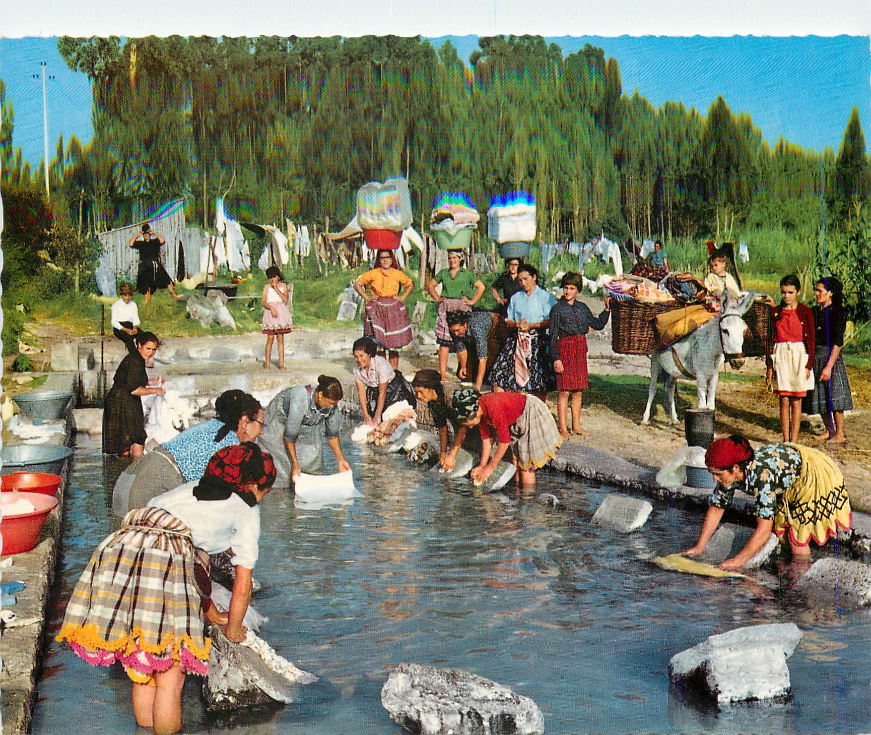 CPM Portugal Turistico Nazare Lavant Le Linge (Coutume Typique) Folklore Ane Donkey