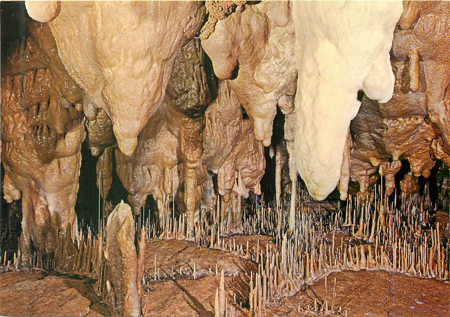 CPM Cuevas de Altamira Stalactites et Stlagmites