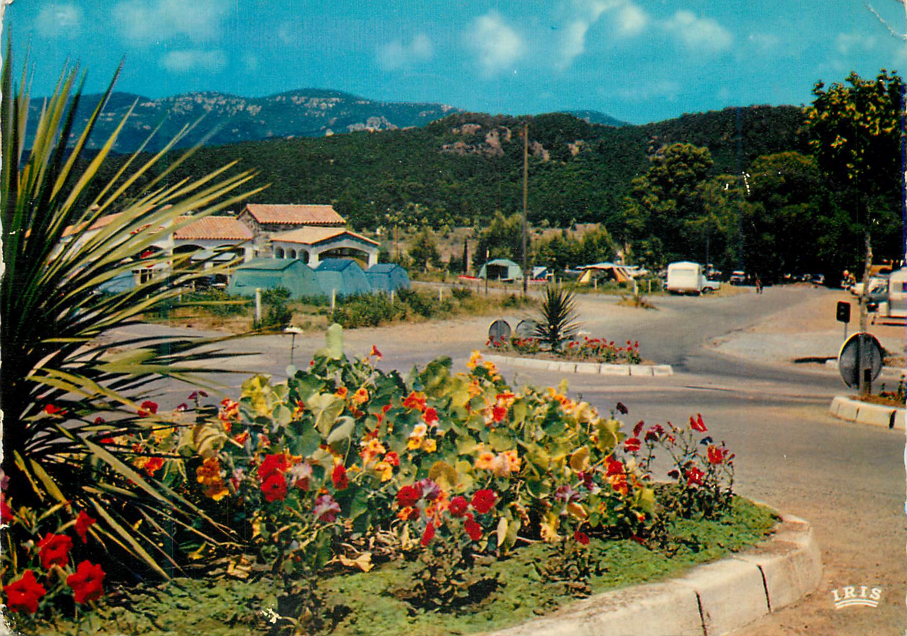 CPM Domaine du Pin de la Legue Frejus (Var) L'Entree du Camp