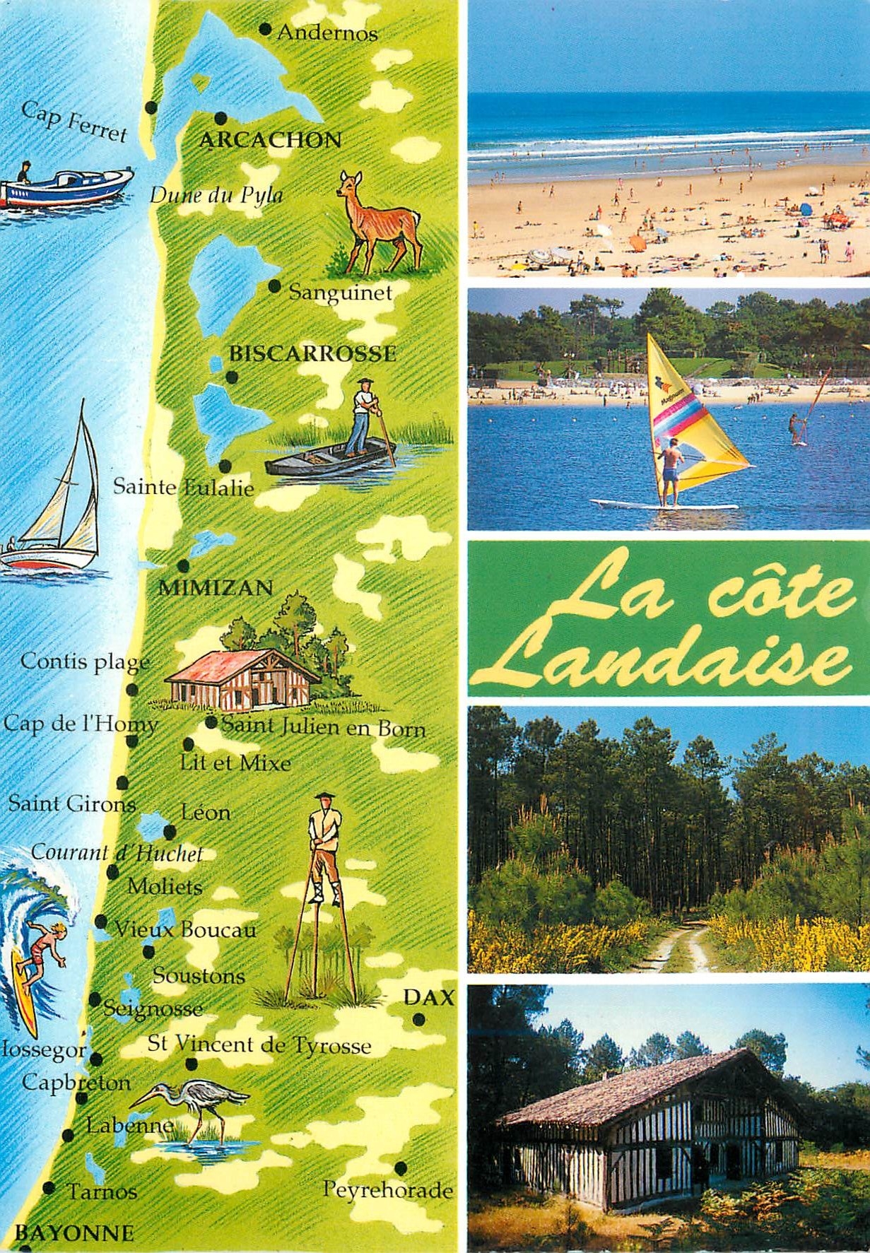 CPM La Cote Landaise Arcachon Biscarrosse Mimizan Dax Bayonne