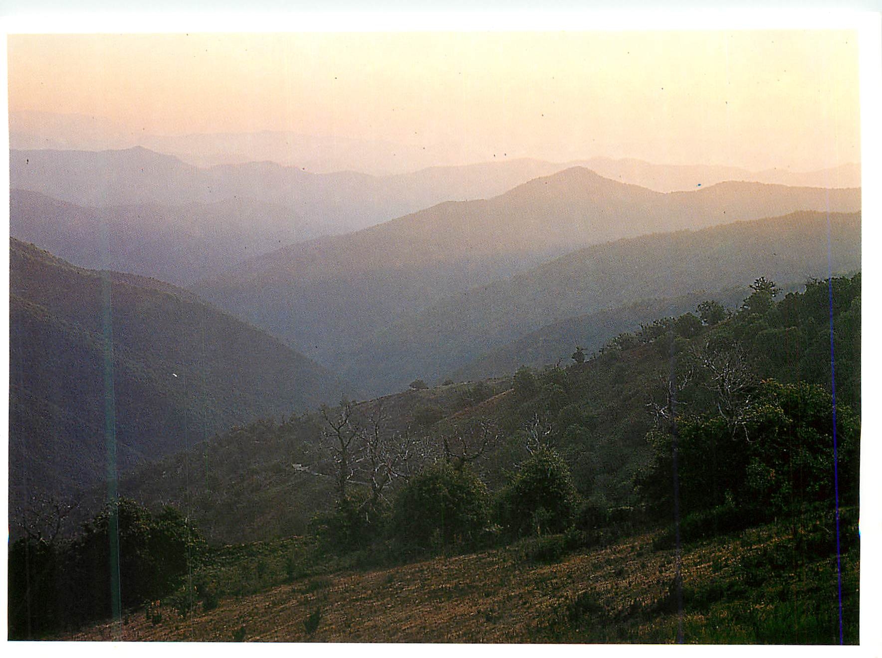 Cévennes — Le Crouzinal — SEPTETELLE Sari