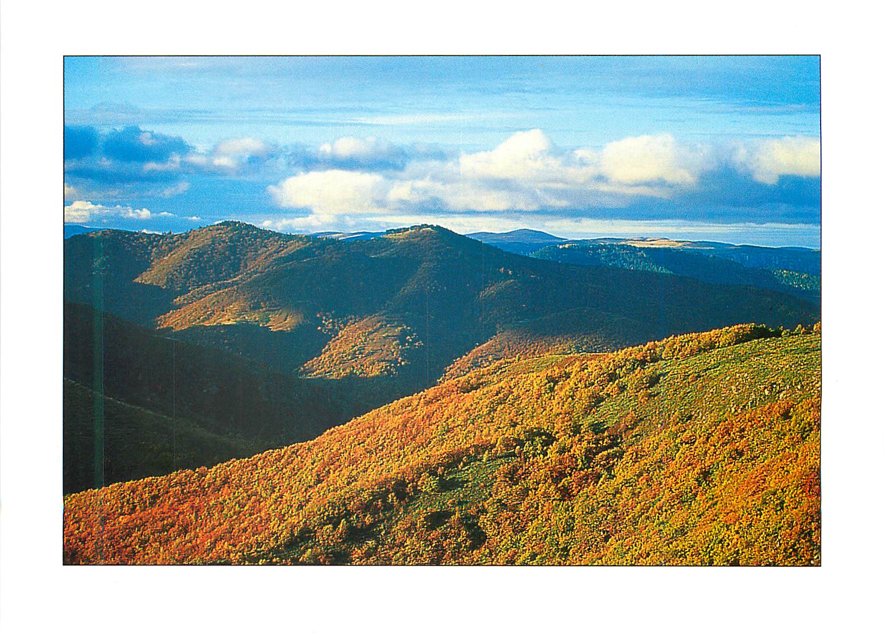 Les Cévennes — Photo J.F. Salles — Éd. D. PIGNOL