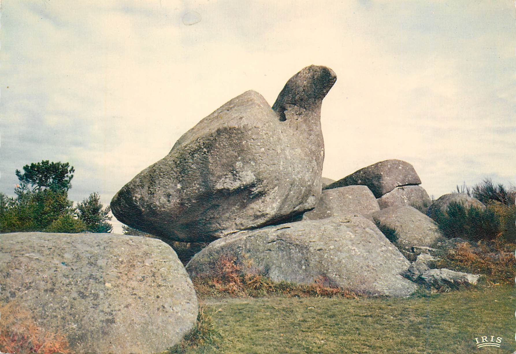 CPM Le Sidobre (Tarn) Pays des Rochers Tremblants et des Pierres Curieuses Le Roc de L'Oie