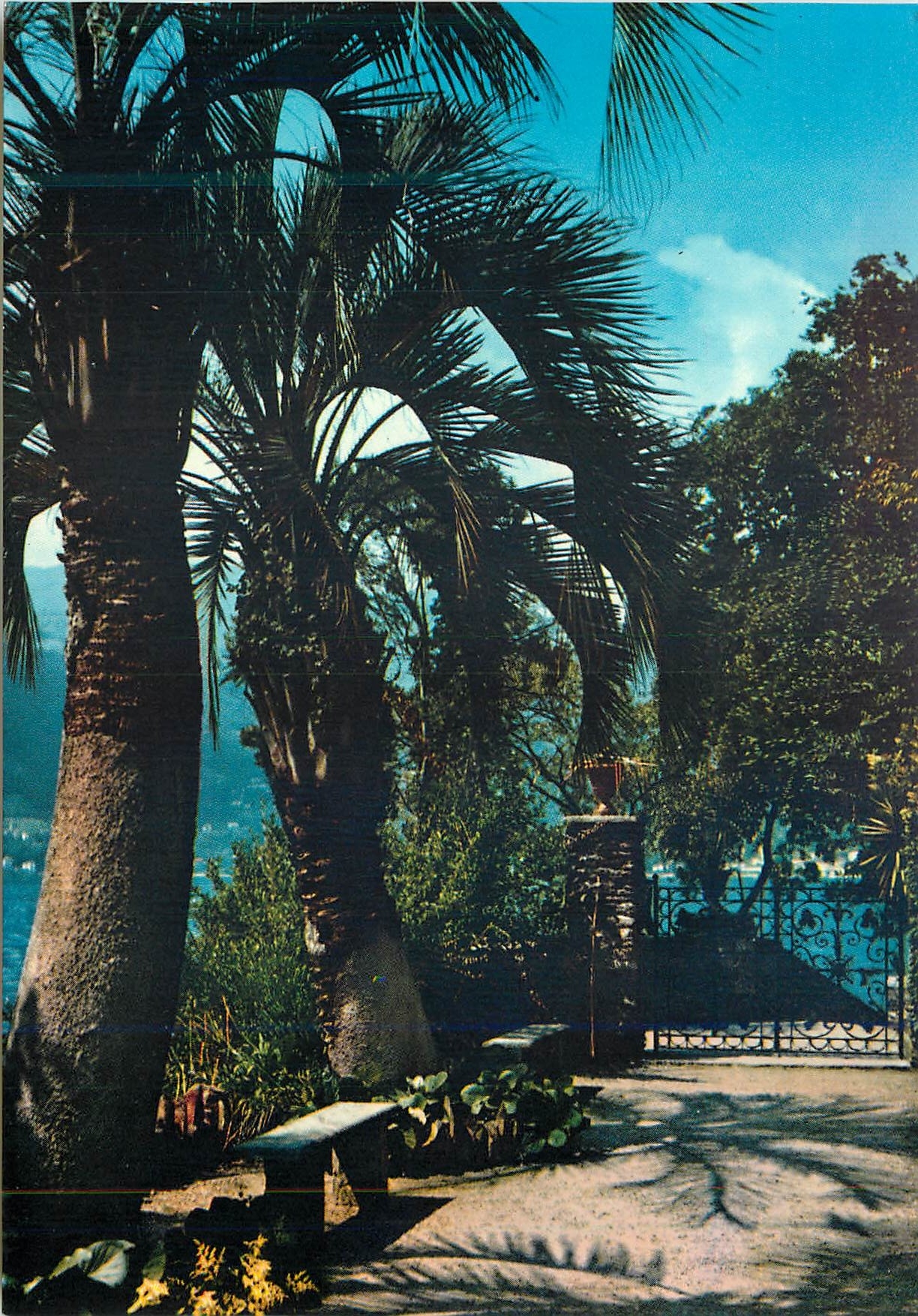 CPM Giardini Dell Isola Madre Lago Maggiore