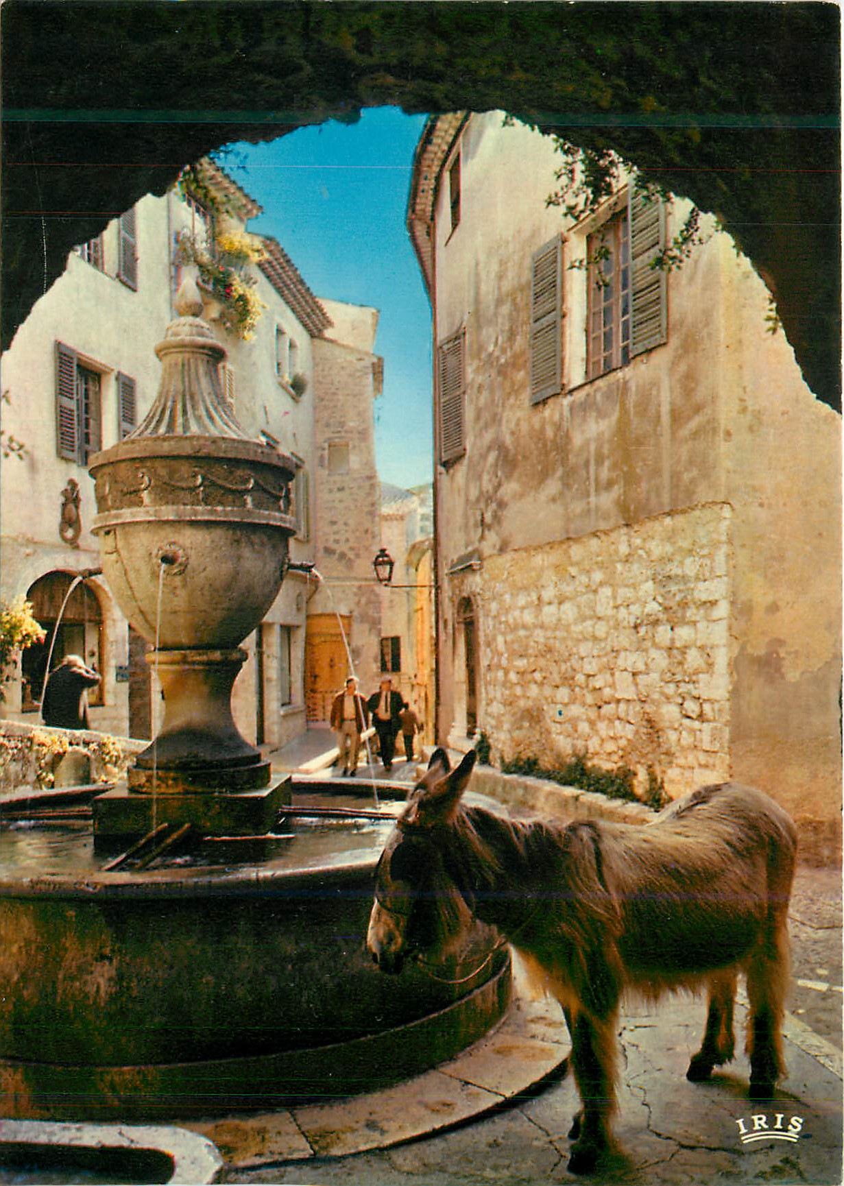CPM La Cote d'Azur Saint Paul de Vence Halte a la Fontaine Ane Donkey