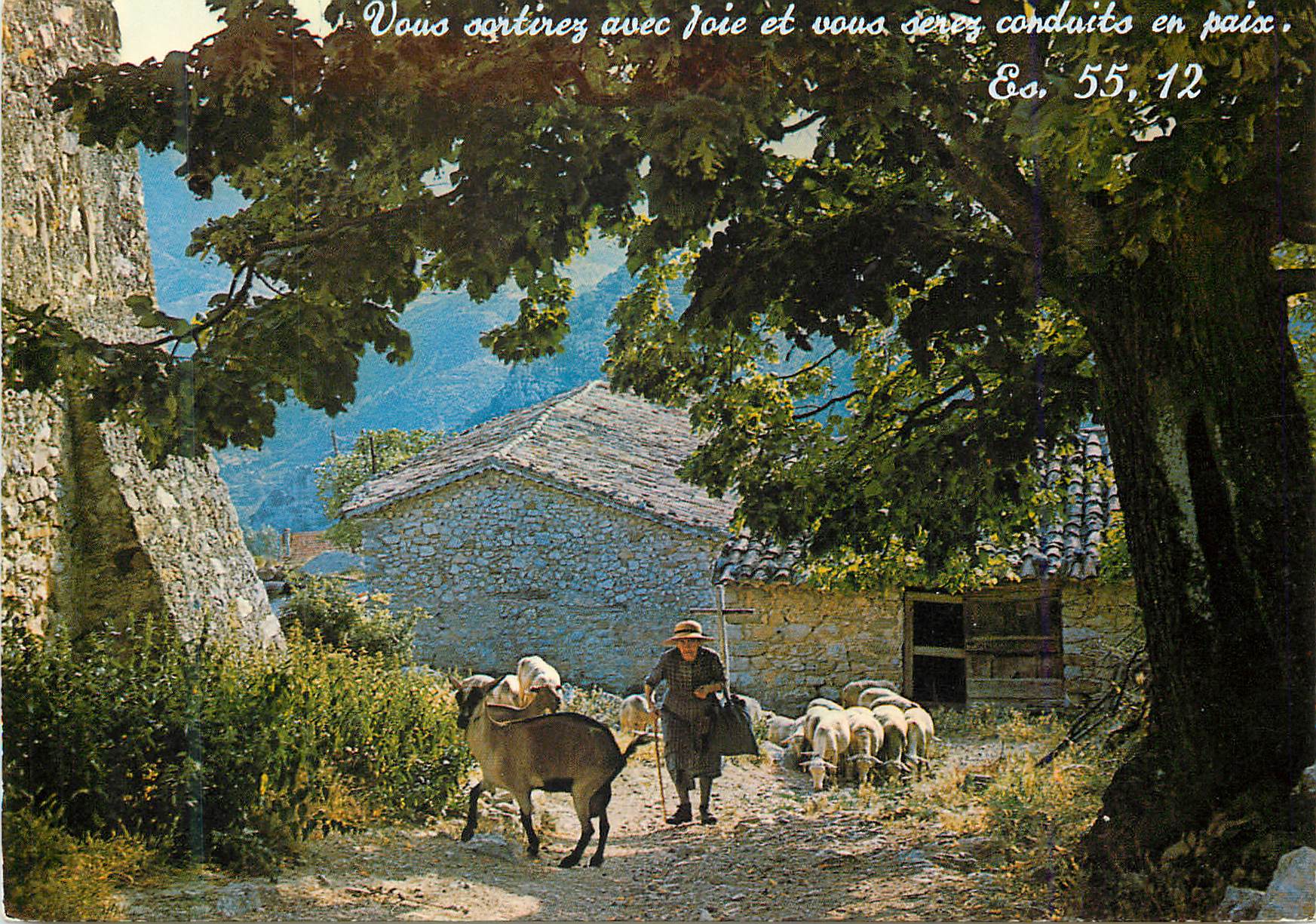 CPM Les Belles Couleurs de nos Provinces Bergere et son Troupeau Chevre Moutons