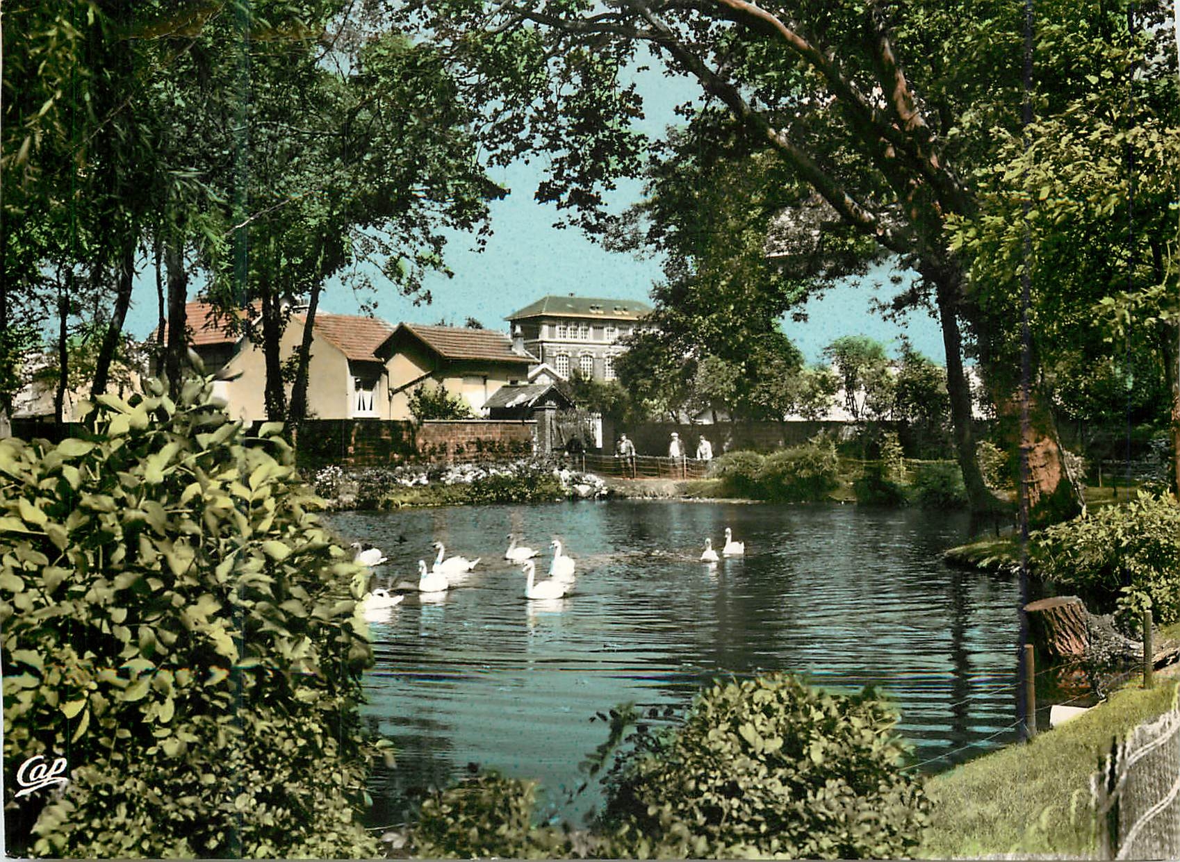 CPM Aulnay sous Bois Les Cygnes sur le Lac du Vieux Pays