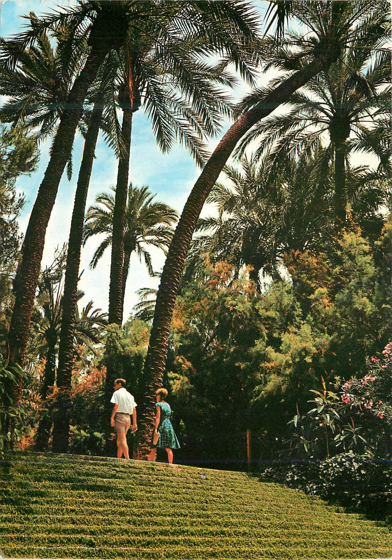 CPM Elche Parc Municipal Perron de L'Hort de Baix