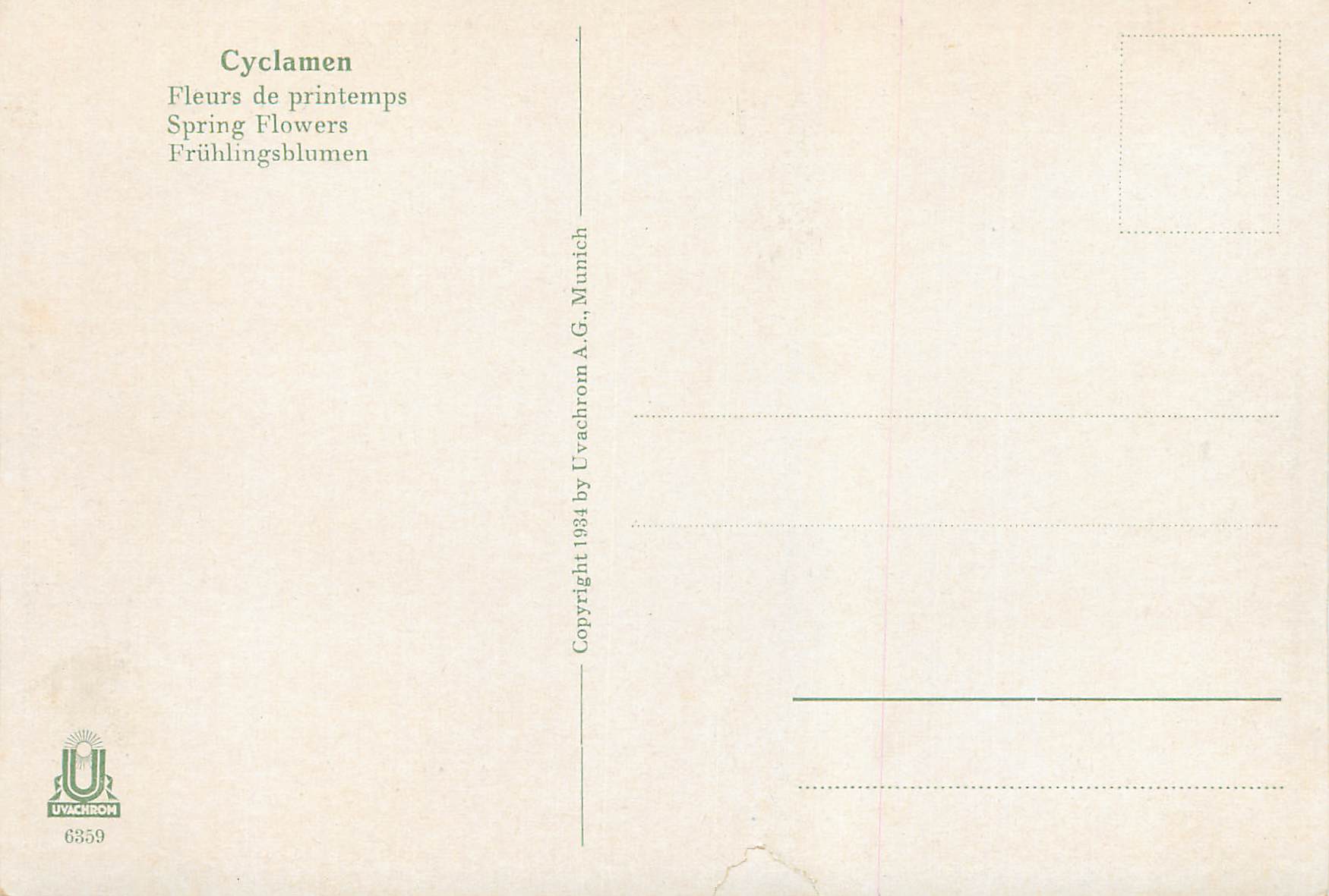 CPM Cyclamen Fleurs de Printemps — Verso