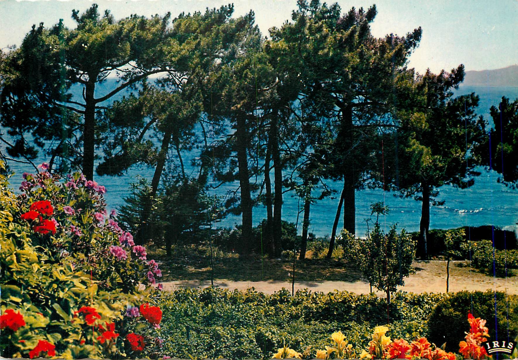 CPM Reflets de la Cote d'Azur En Suivant le Littoral de la Mediterranee