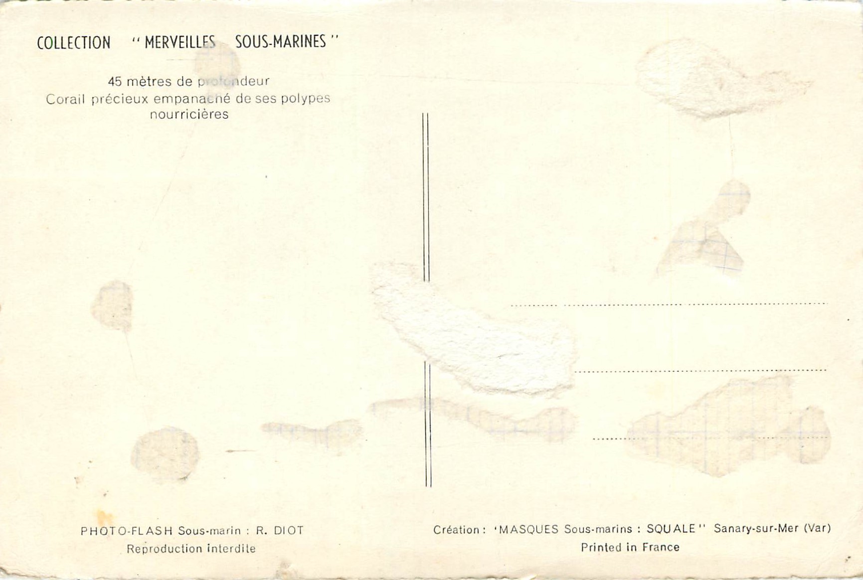 CPM Collection Merveilles Sous Marines 45 m de Profondeur Corail Precieux Empanache de ses Polypes Nourricieres — Rückseite
