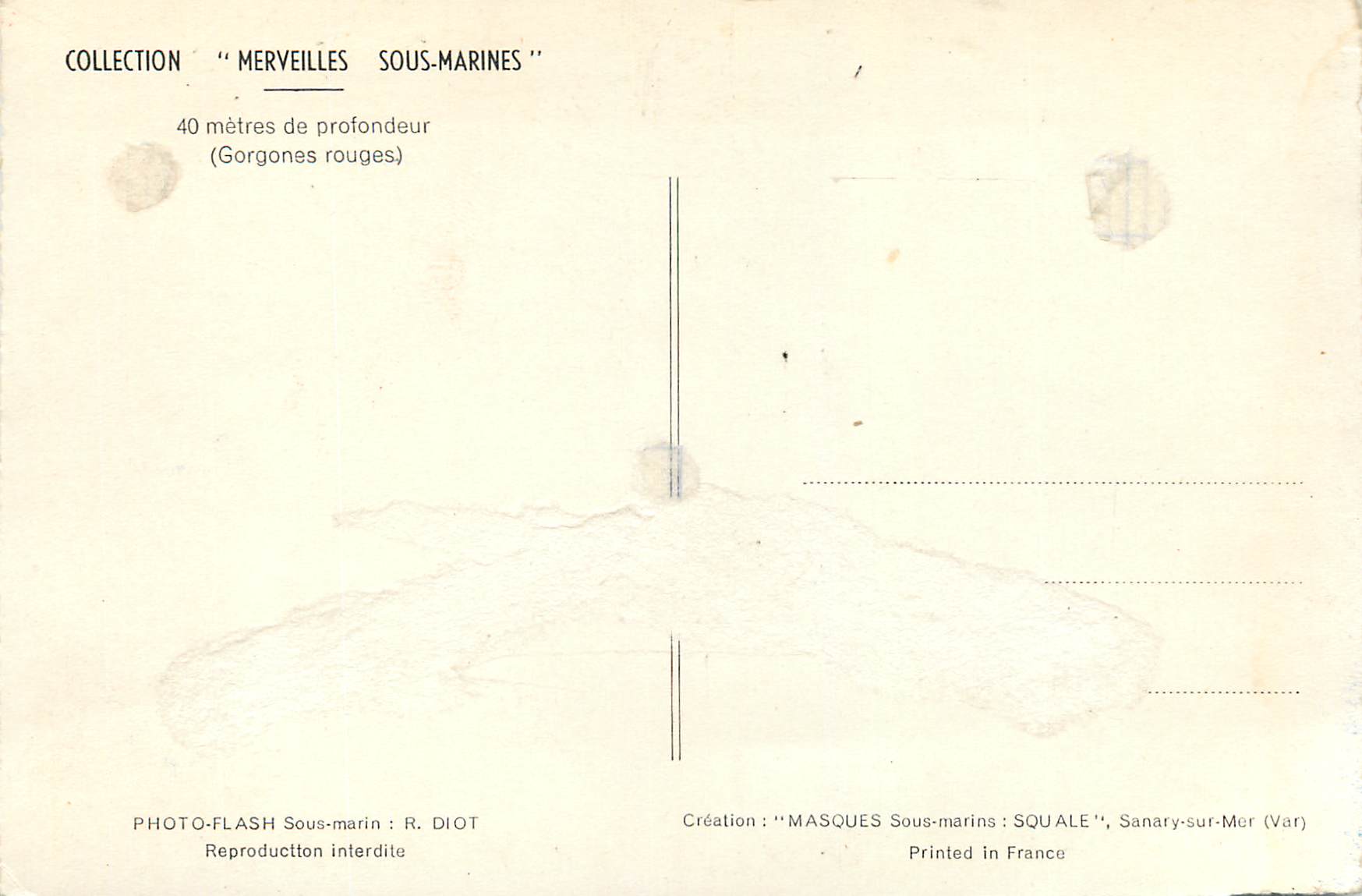 CPM Collection Merveilles Sous Marines 40 Metre de Profondeur (Gogones Rouges) — Rückseite