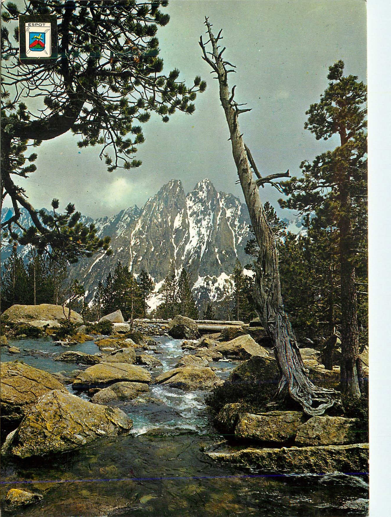 Espot — Vue du Vell d’Espot dans le Parc National de Sant Maurici — Éditeur Cedosa, N° 910