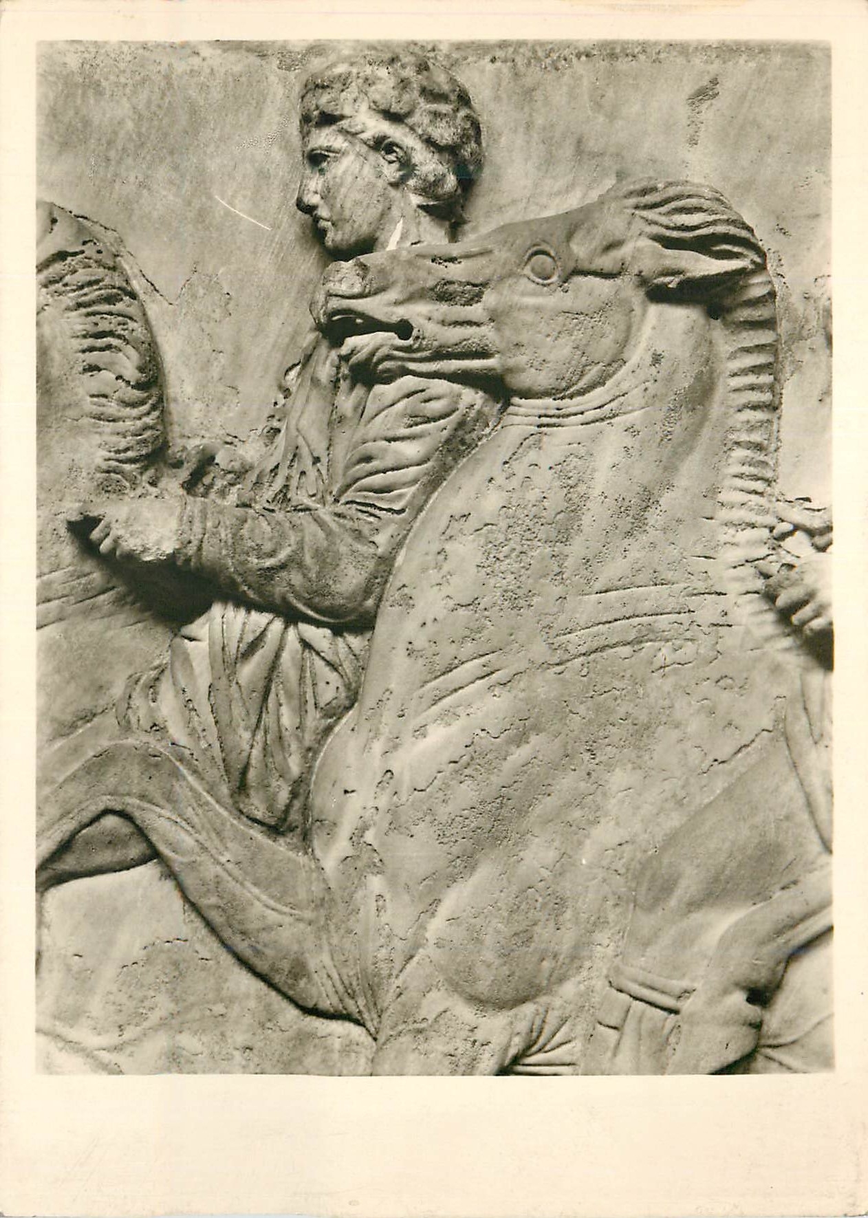 Parthénon - Nordfries. Reiterzug (Détail) — London, Britisches Museum — Archiv-Nr. 75 911