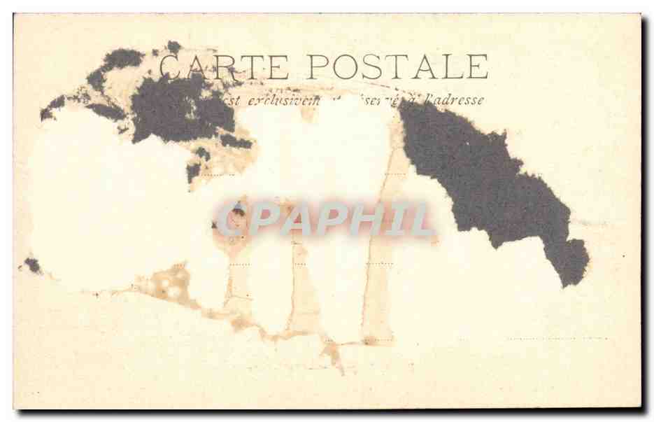 Var - Ile Sainte - Marguerite - Sous - bois - CPA  — Verso