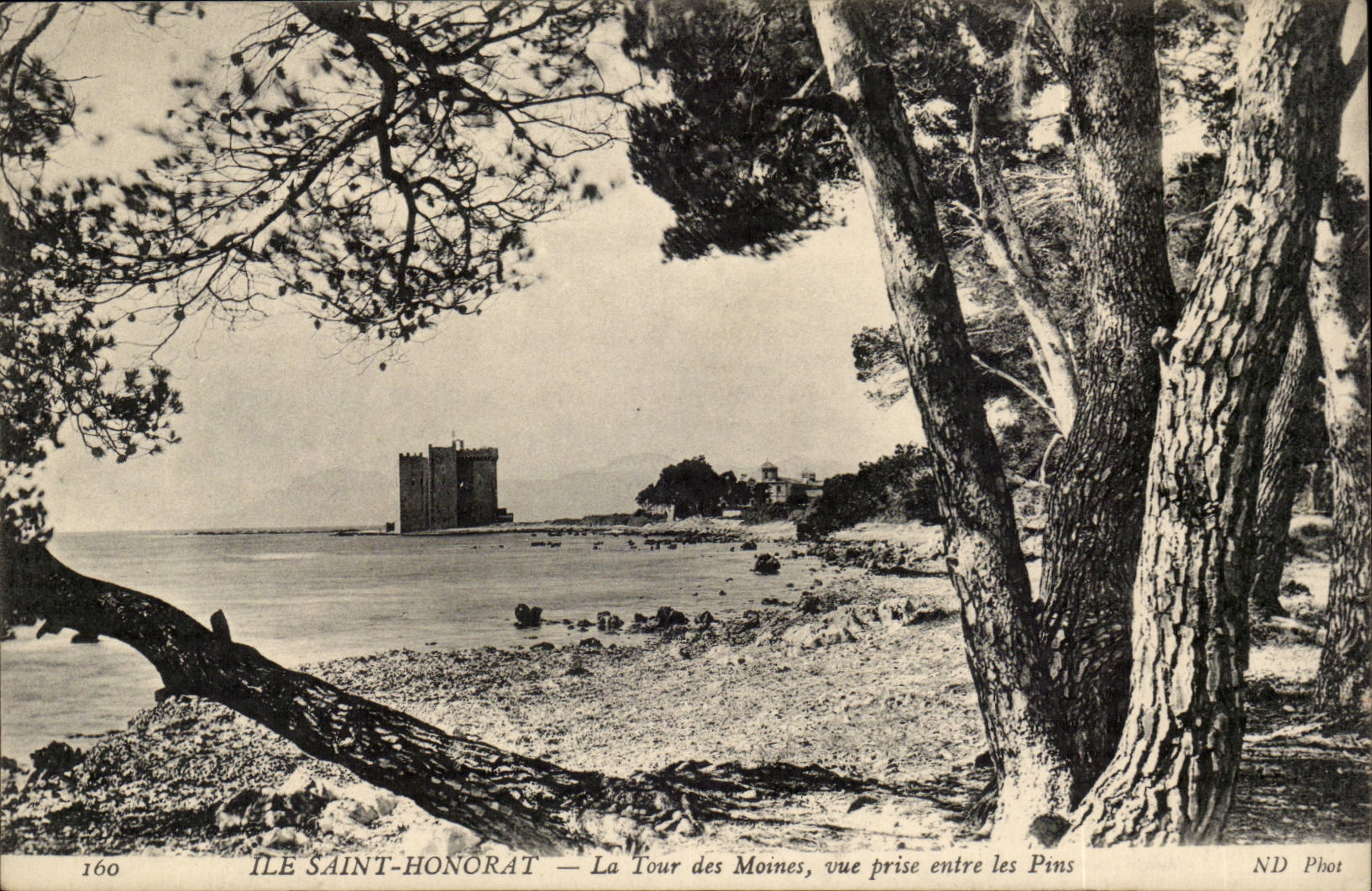 Cannes - Ile St Honorat - La Tour des moines vue prise sntre les pins - CPA 