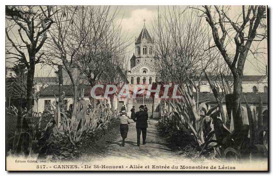 Cannes - Ile St Honorat - Alle et Entree du Monastere de Lerins - CPA 