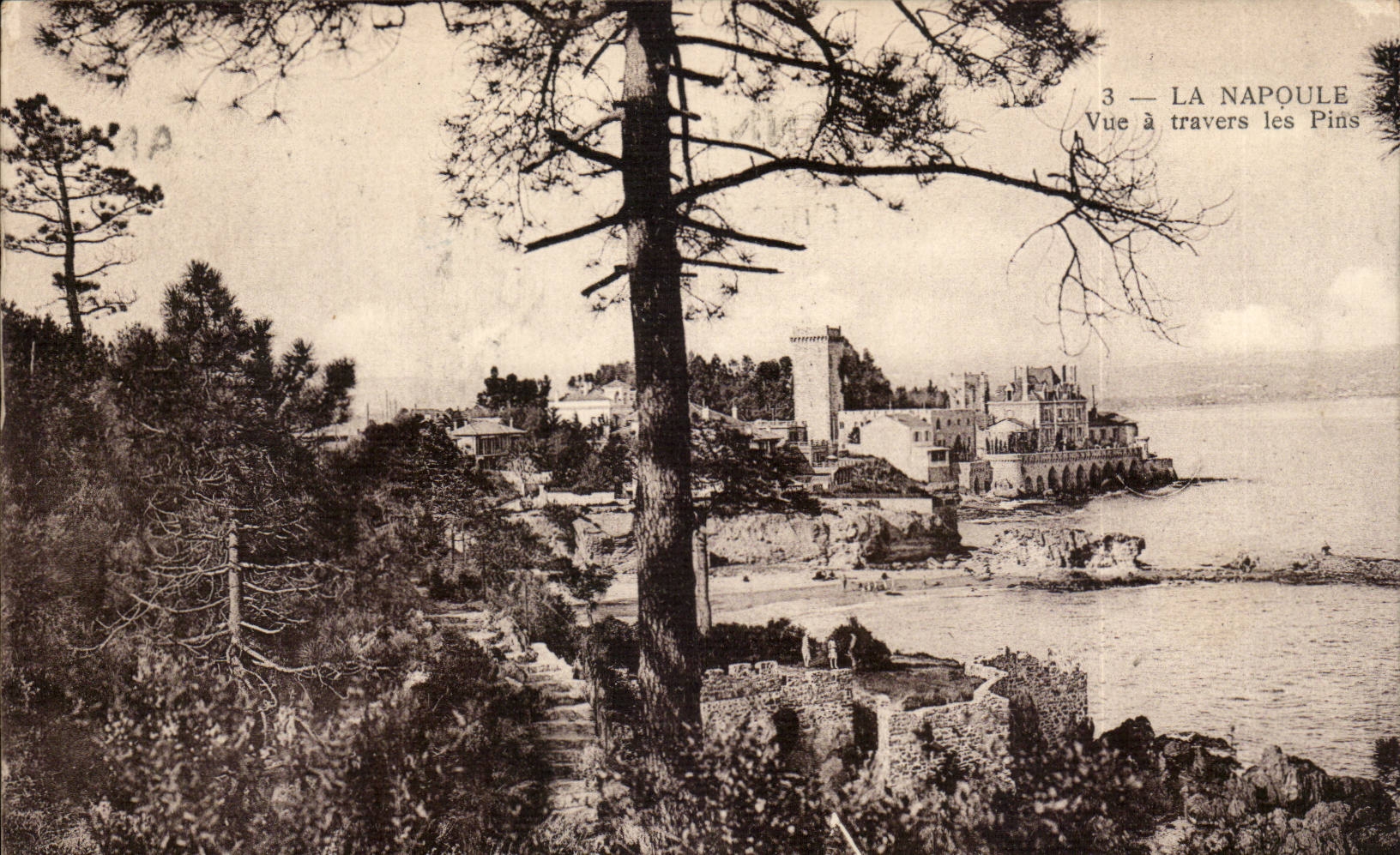 La Napoule - Vue a travers les Pins - CPA 