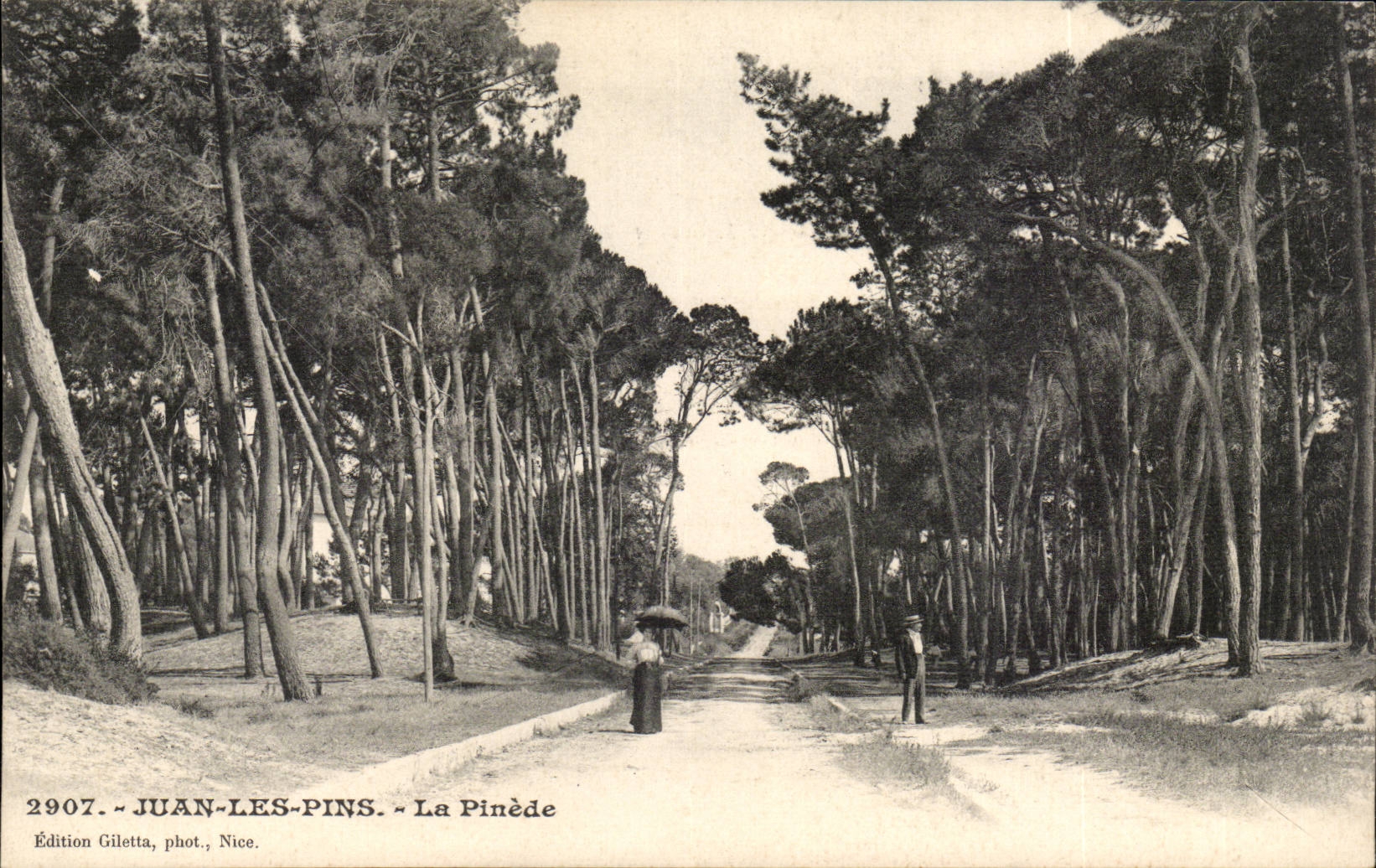 Juan les Pins - La Pinede - CPA 