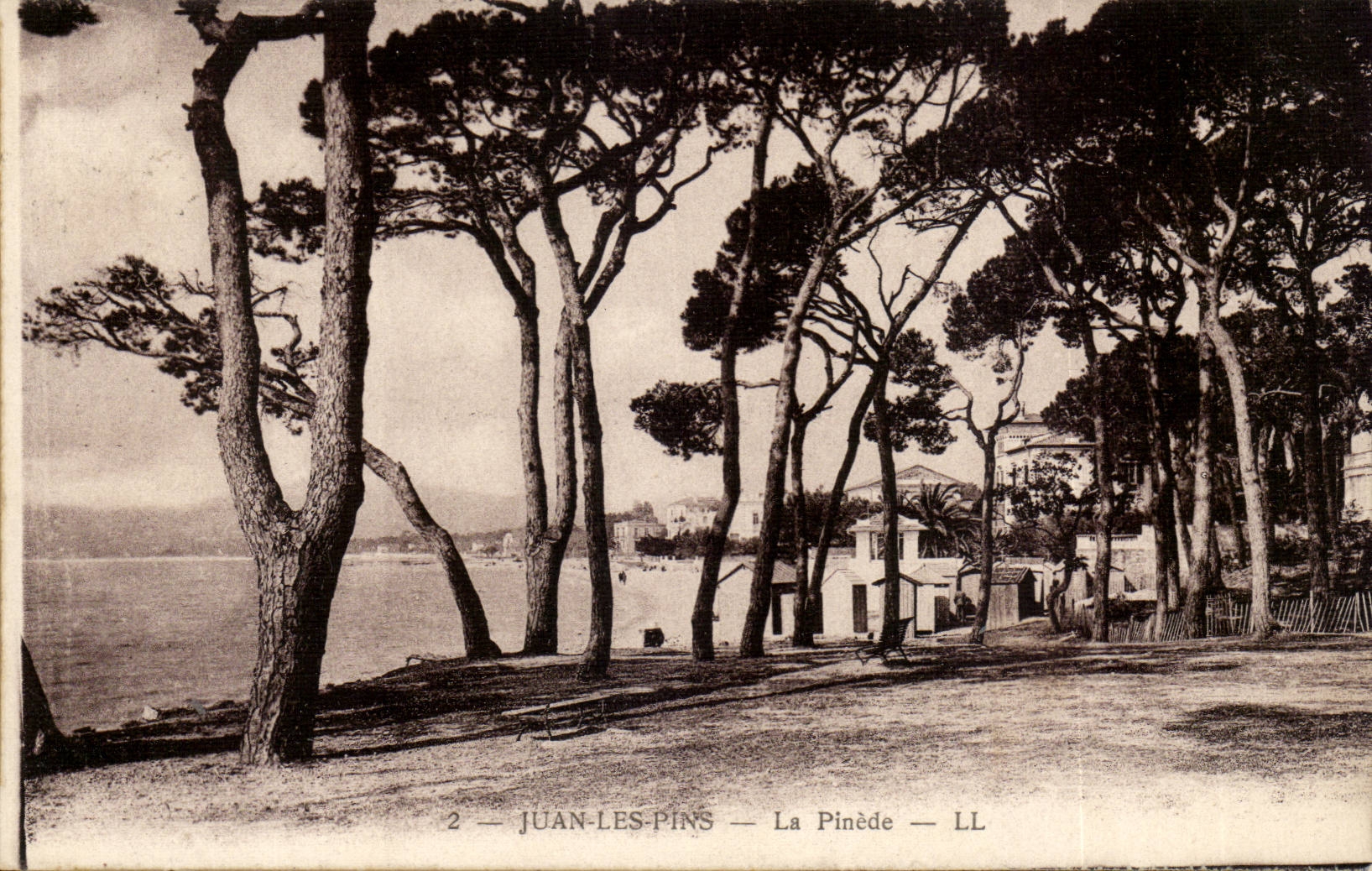 Juan les Pins - La Pinede - CPA 