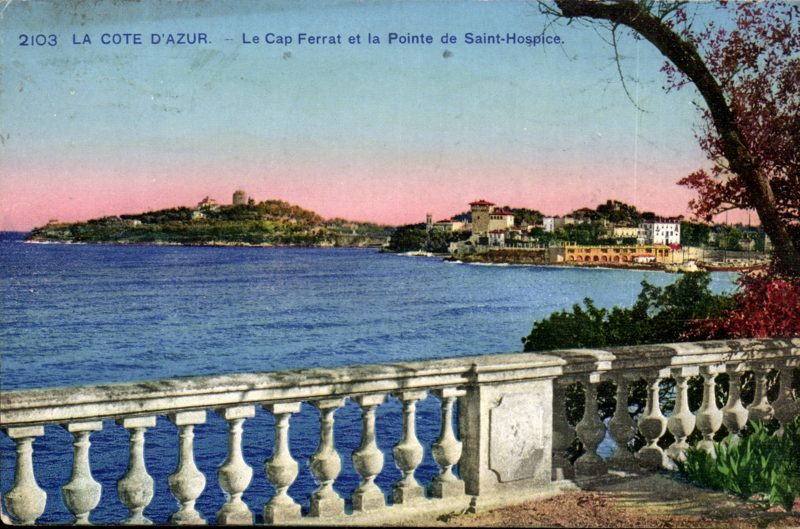 La Côte d'Azur — Le Cap Ferrat et la Pointe de Saint-Hospice — Photochromie A.D. Wilson n°2103