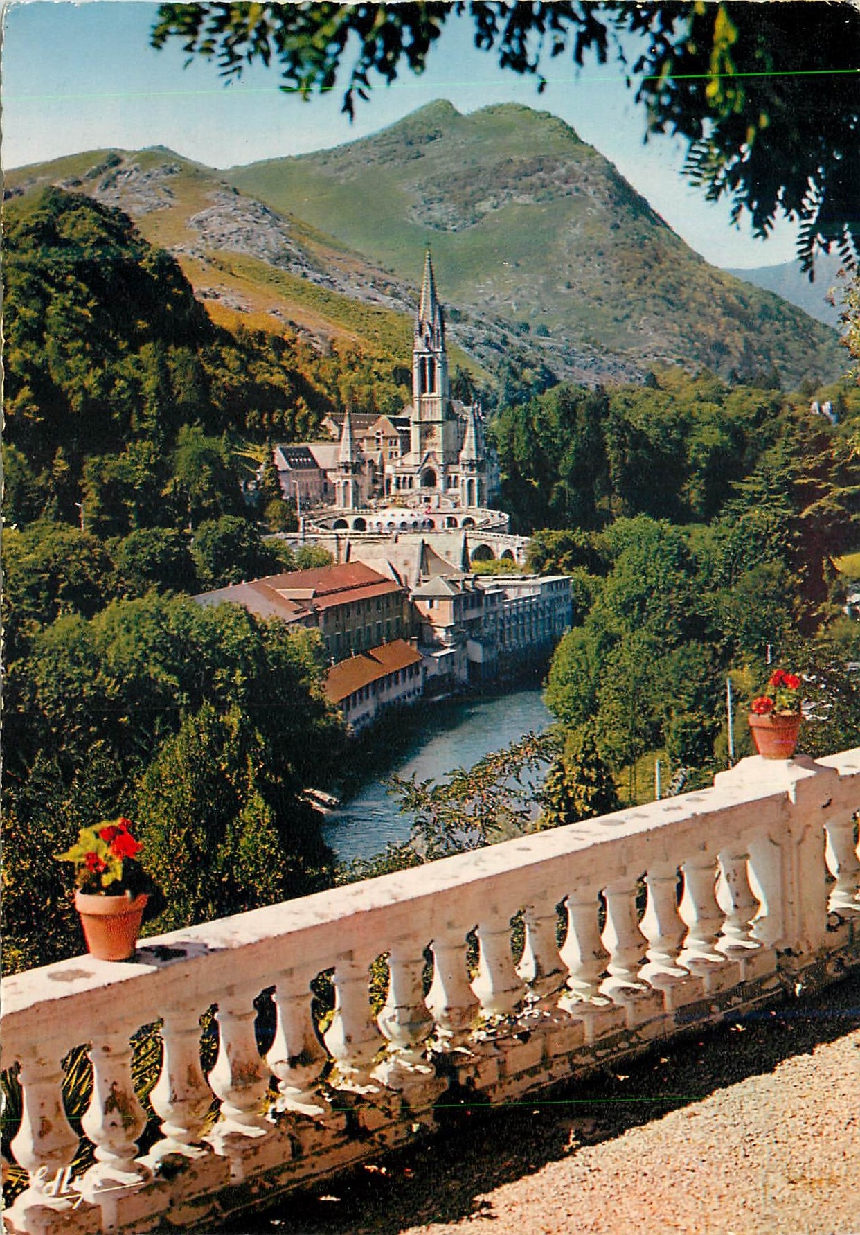 CPA Lourdes 57 la basilique et le gave