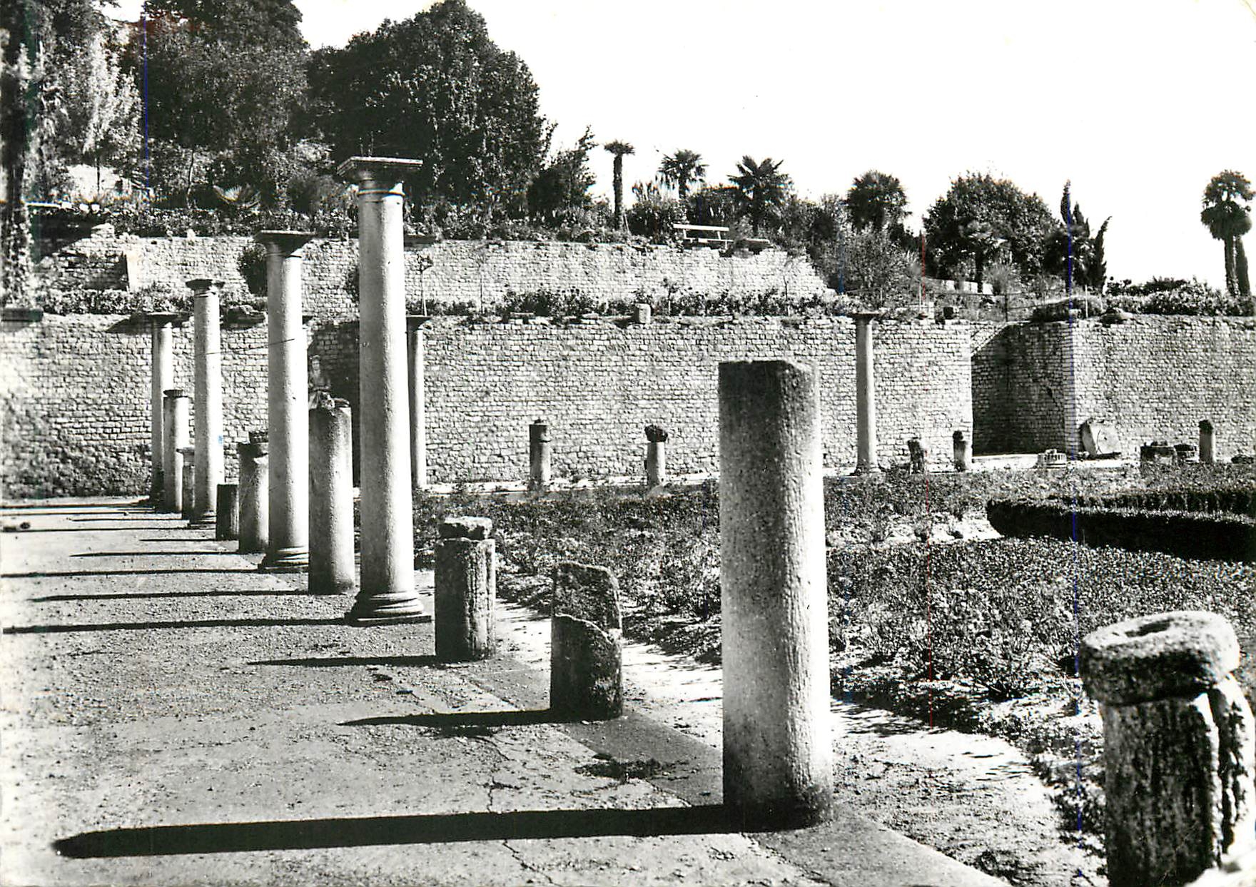 Le Portique de Pompée — Vaison-la-Romaine (Vaucluse) — Éditions « MA » — n° 5243