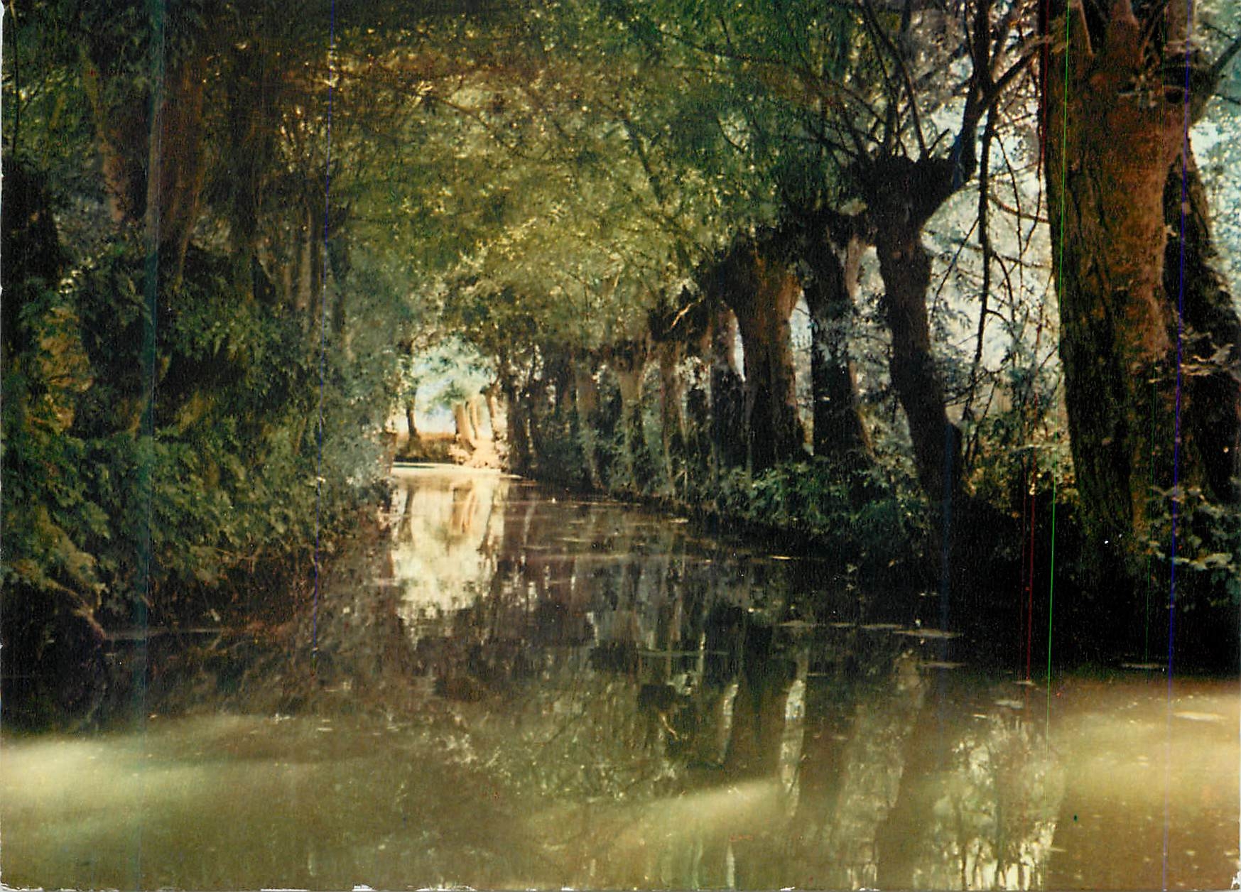 CPM Venise verte une conche dans le marais poitevin