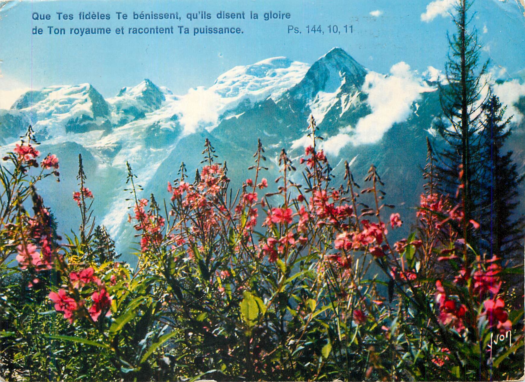 CPM Couleurs et lumiere de france 74 massif du mont blanc (h s) la floraison des phlox sauvages face au mont blanc