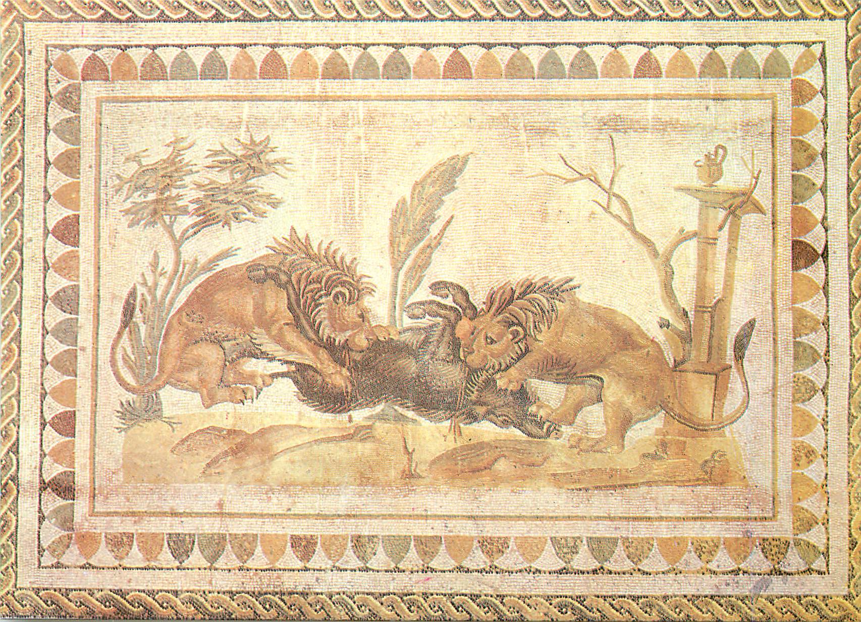 CPM Lions devorant un sanglier (musee d el jem)