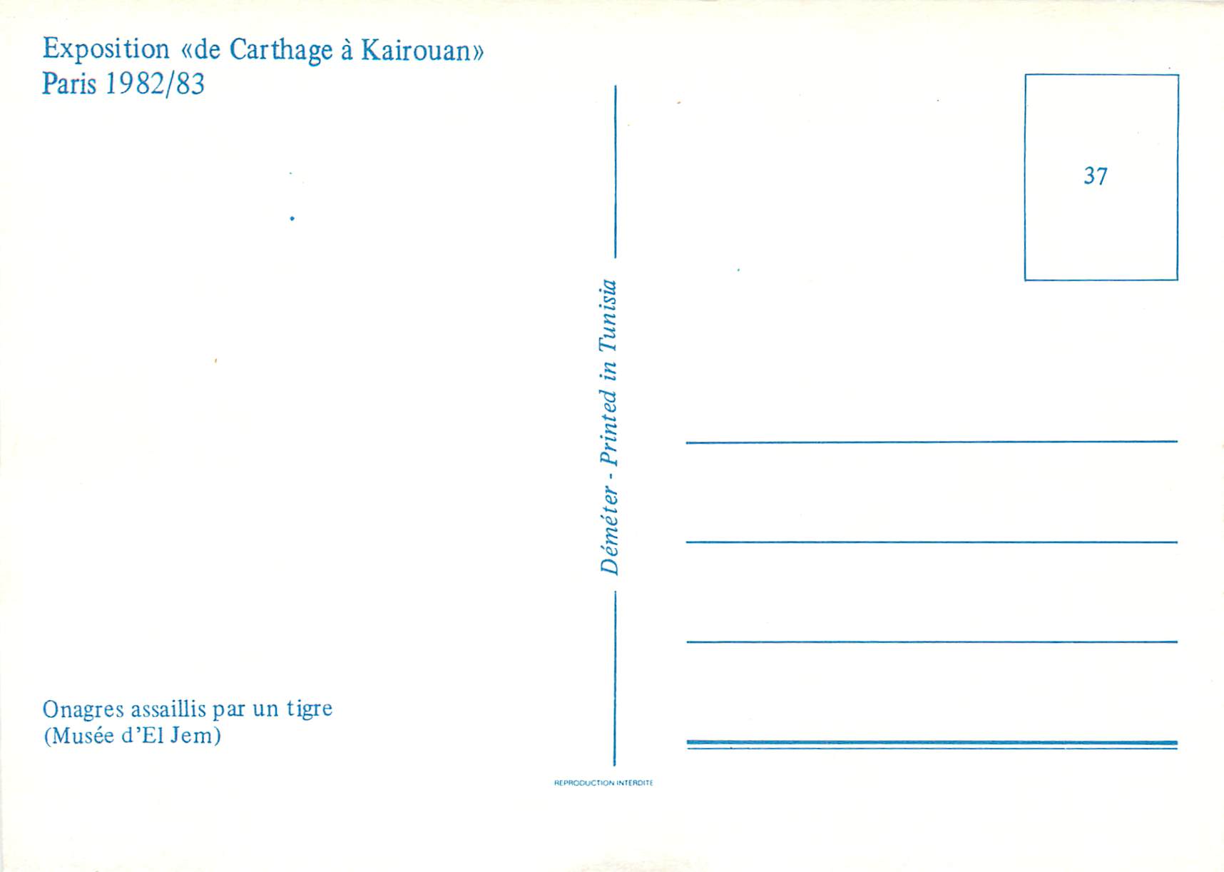 CPM Onagres assaillis par un tigre(musee d el jem) — Verso