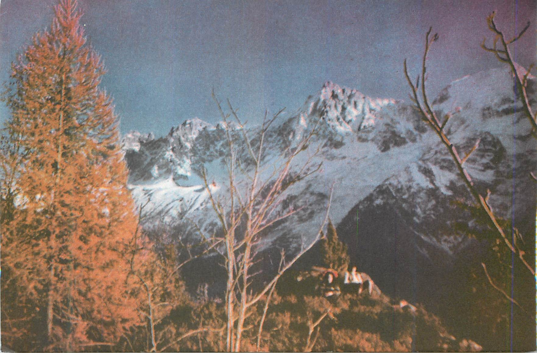 CPM Les aiguilles de chamonix en automne