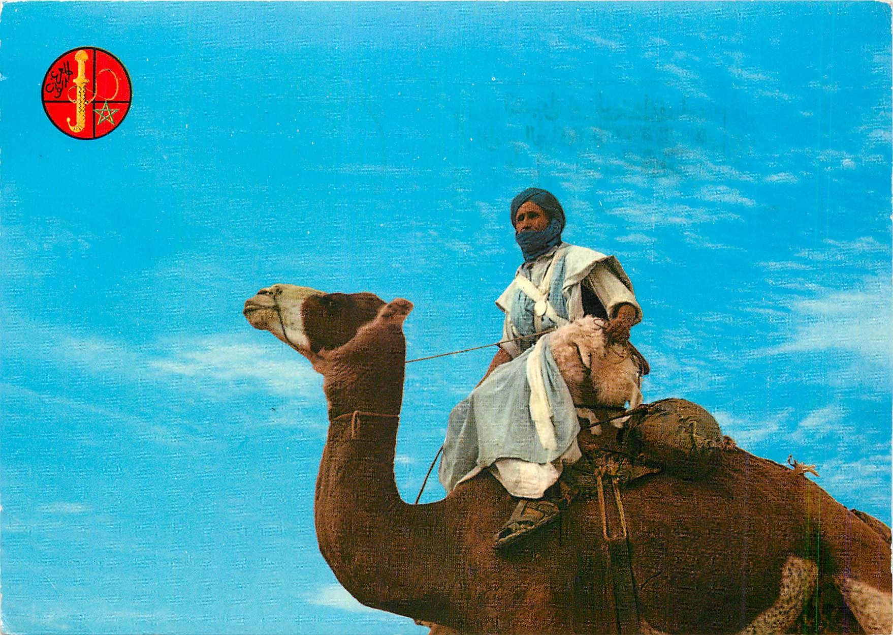 Homme à cheval sur un chameau — Maroc — Éd. Maroc-Color n°005