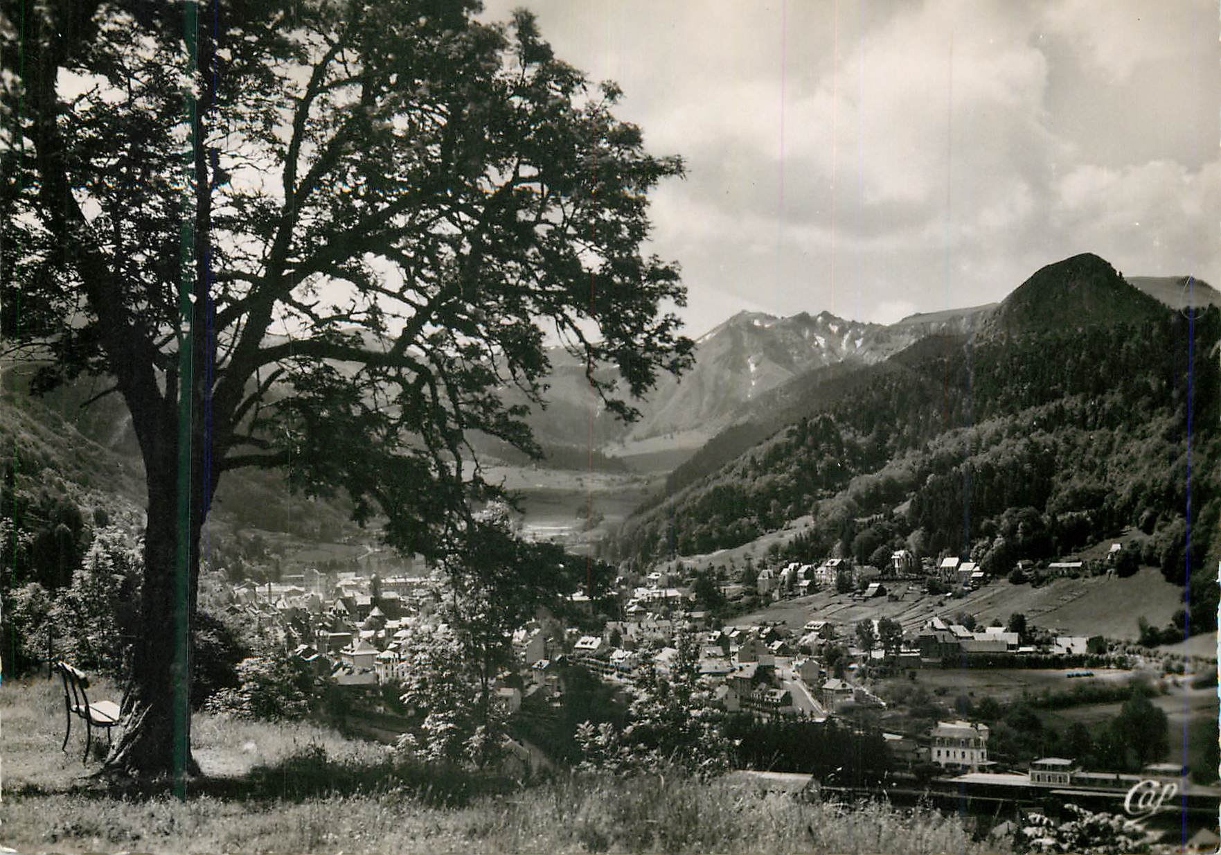 CPM Le mont dore 19 vue generale