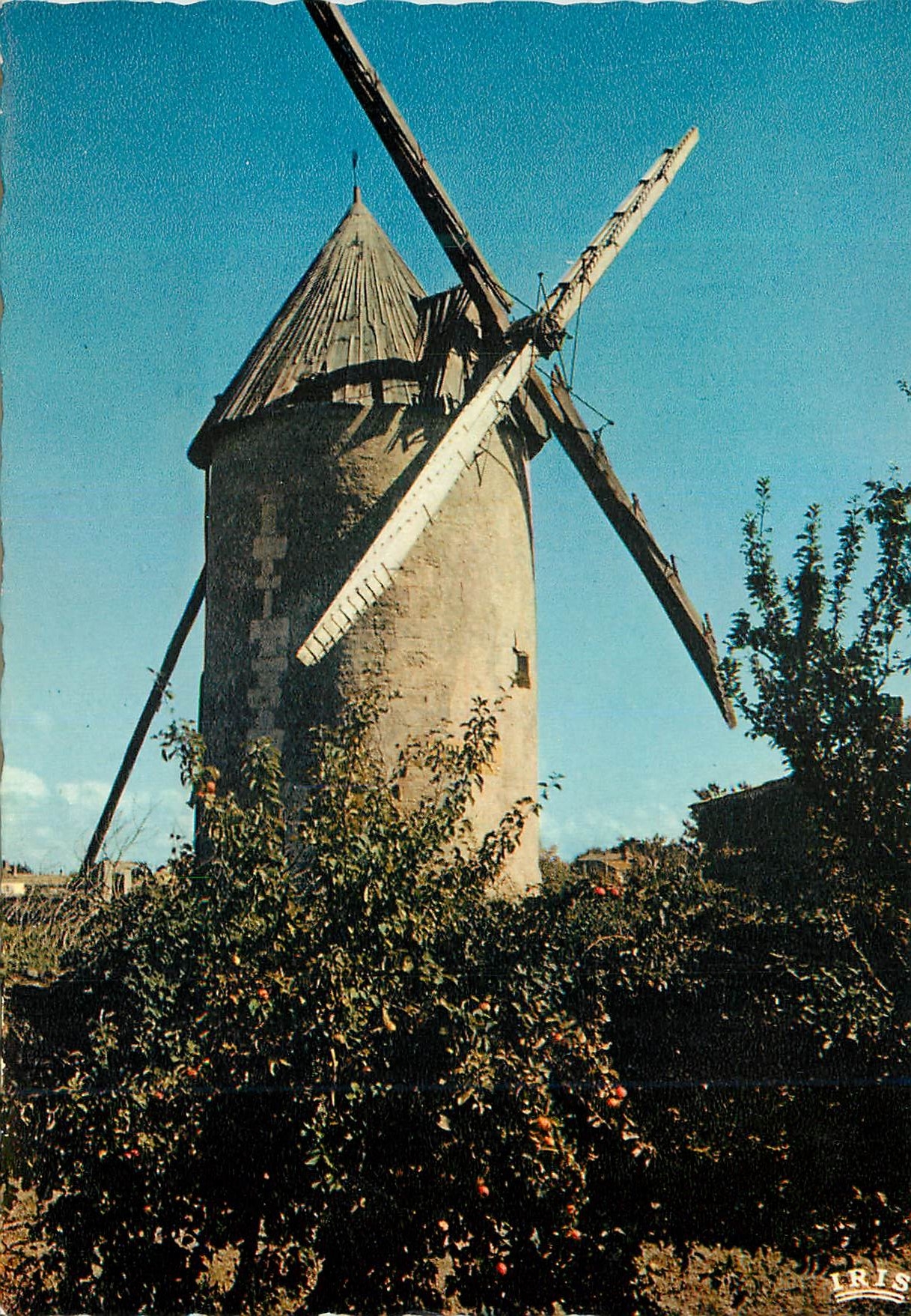 CPM Vendee pittoresque 85119 paysage familier du bocage le moulin