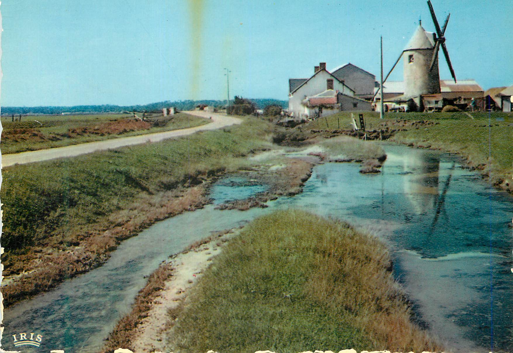 CPM Vendee pittoresque 85 112 un coin du marais